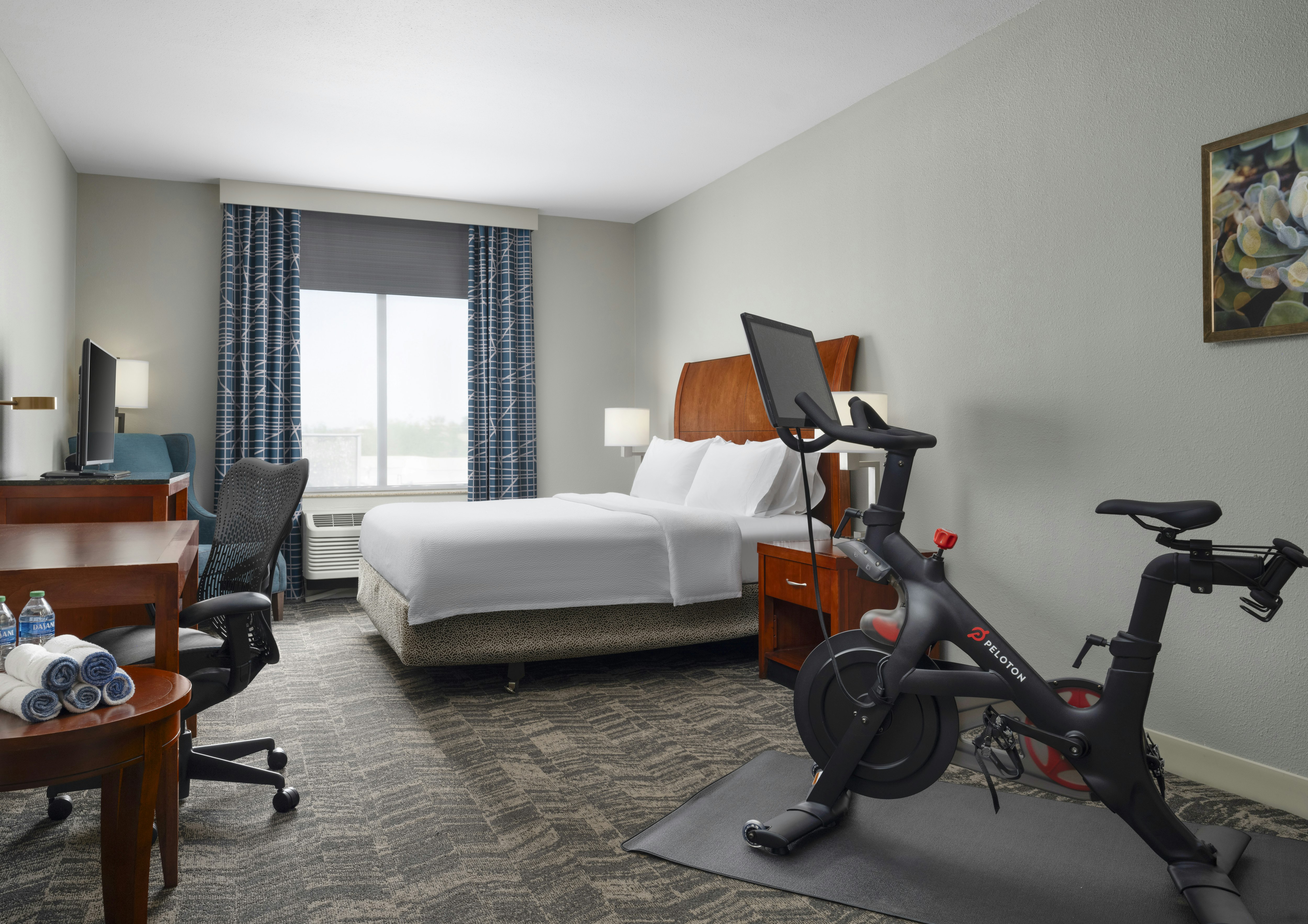 1 KING BED- PELOTON BIKE