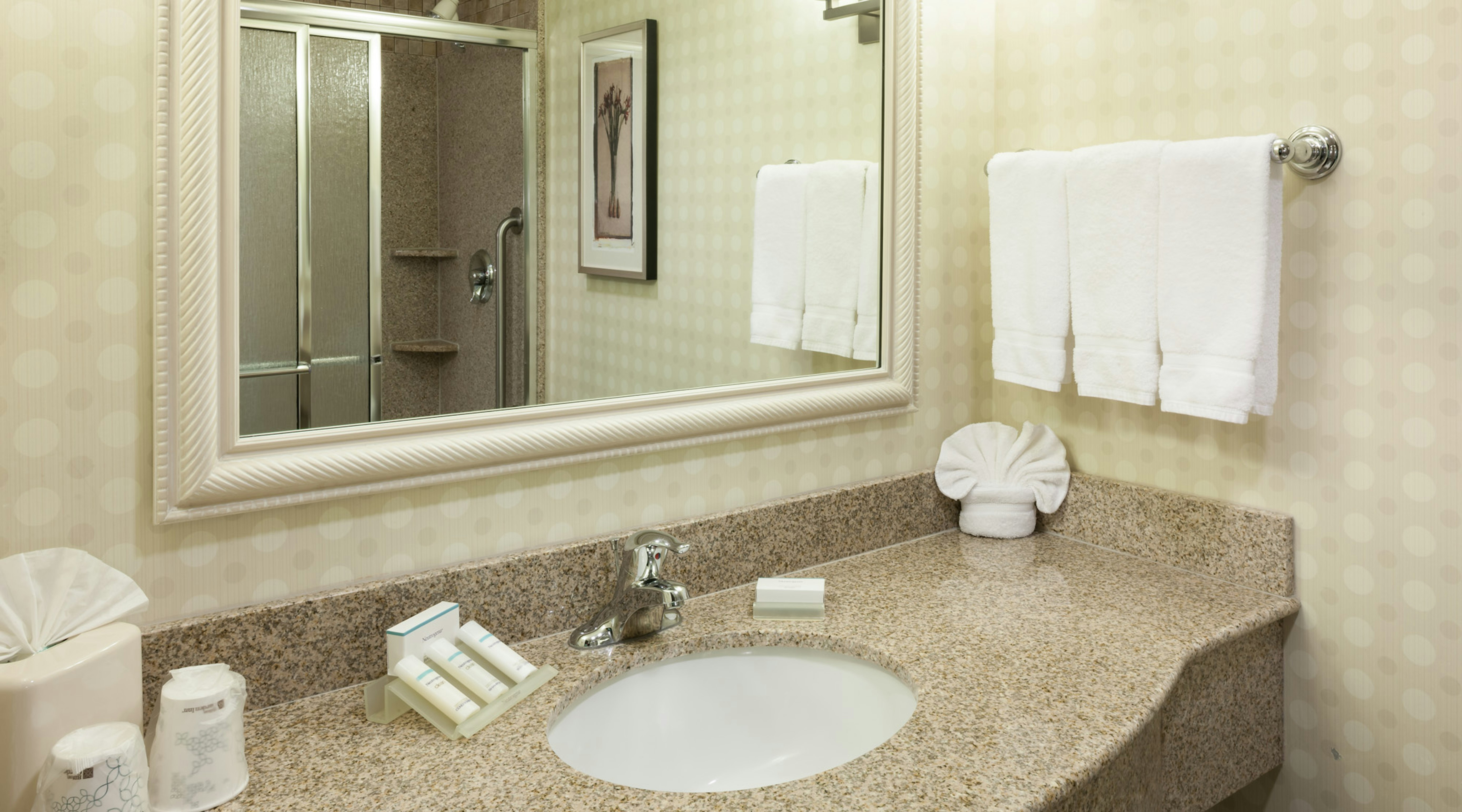 Hilton Garden Inn Tucson Airport