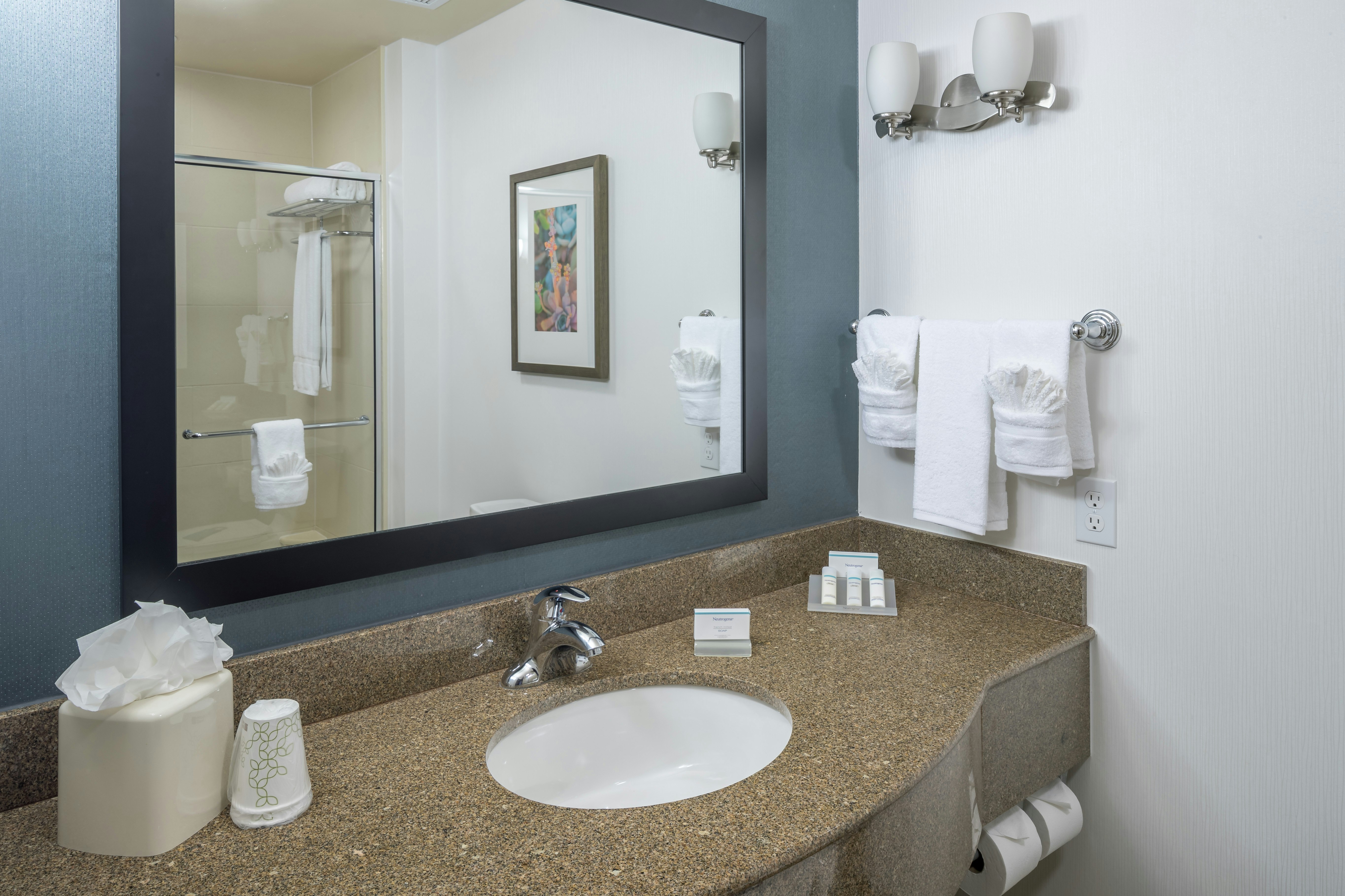Hilton Garden Inn DFW North Grapevine