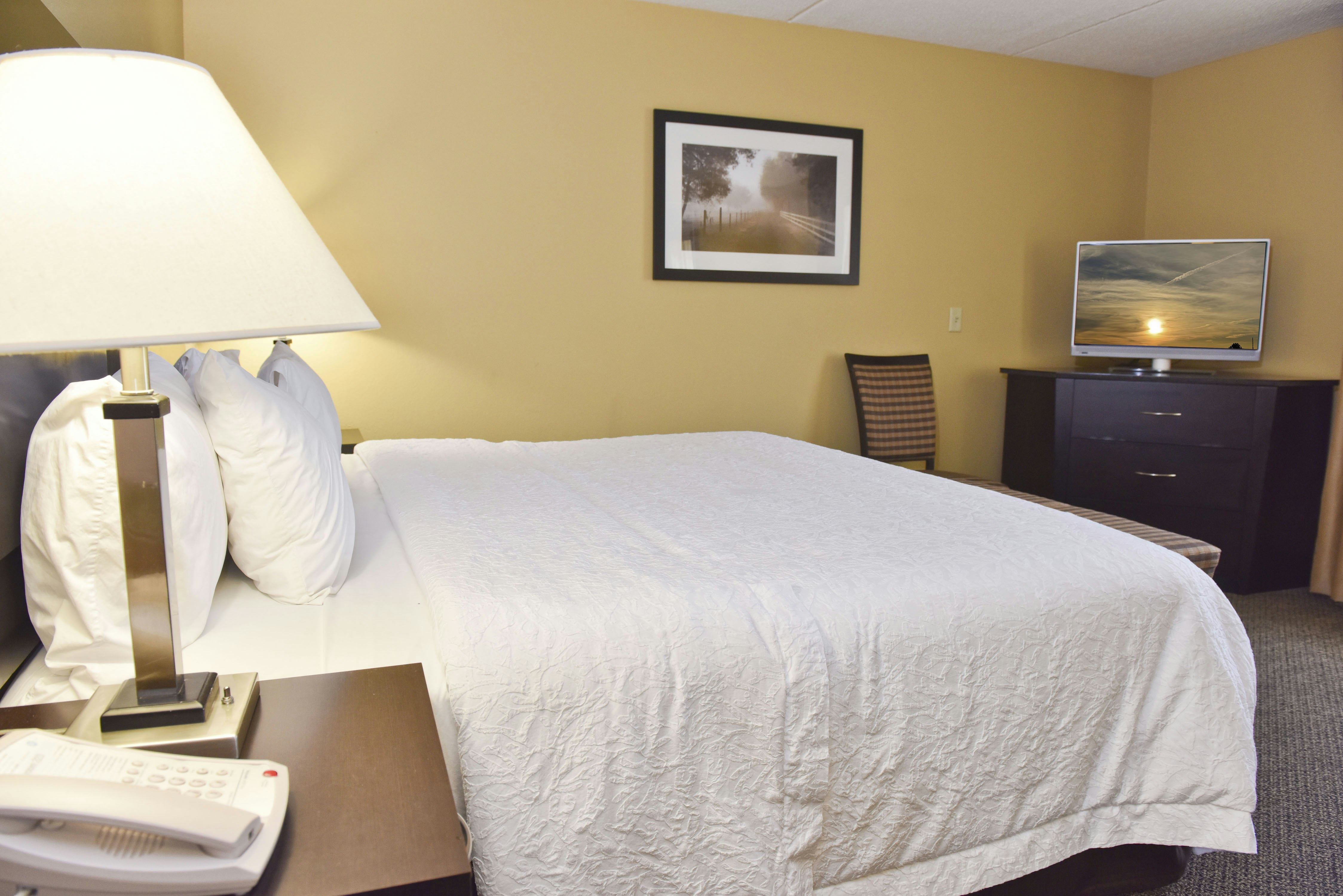 Hampton Inn & Suites Alexandria