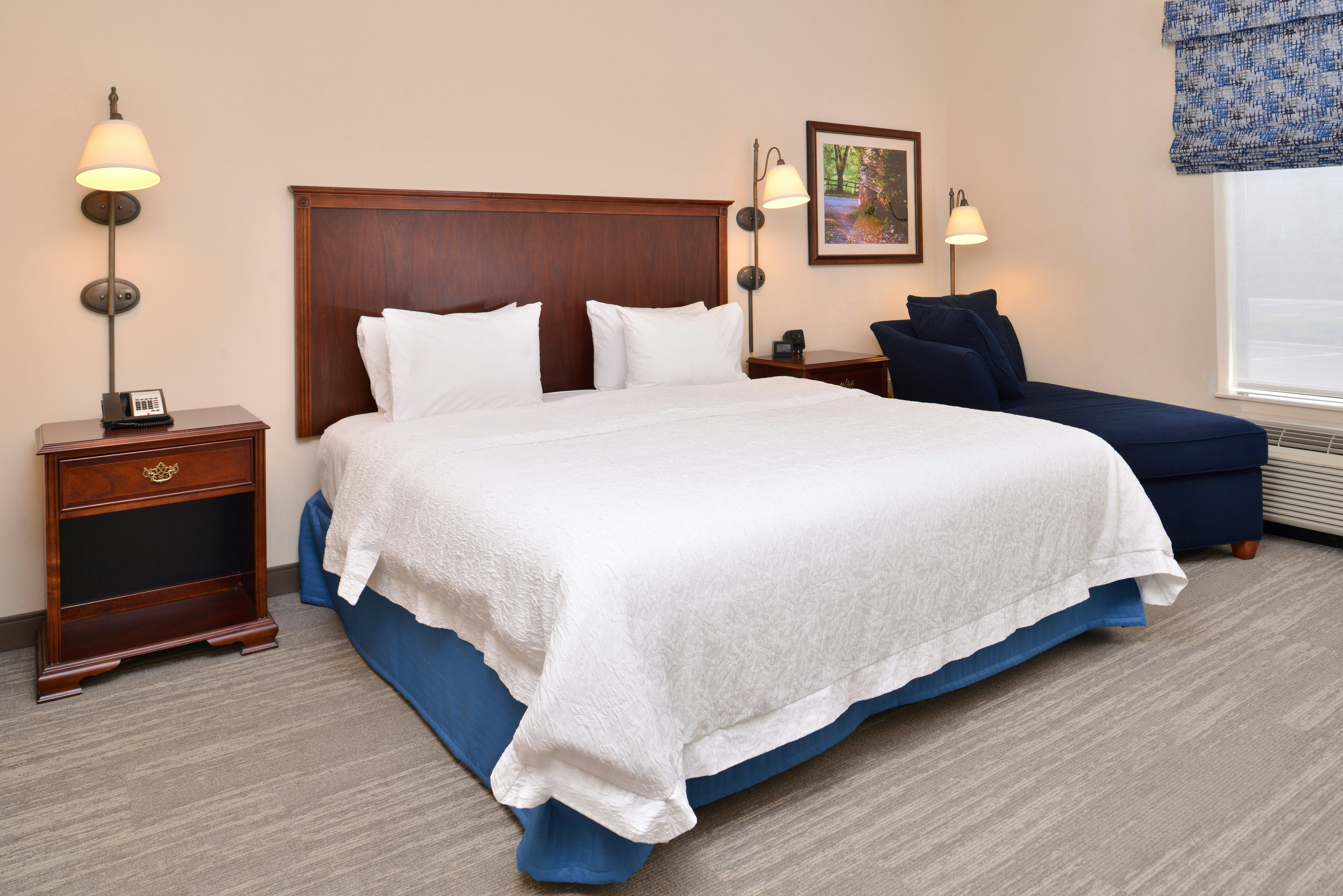 Hampton Inn Harrisonburg-South