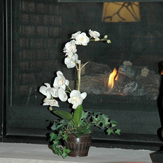 Hampton Inn Matamoras/Milford