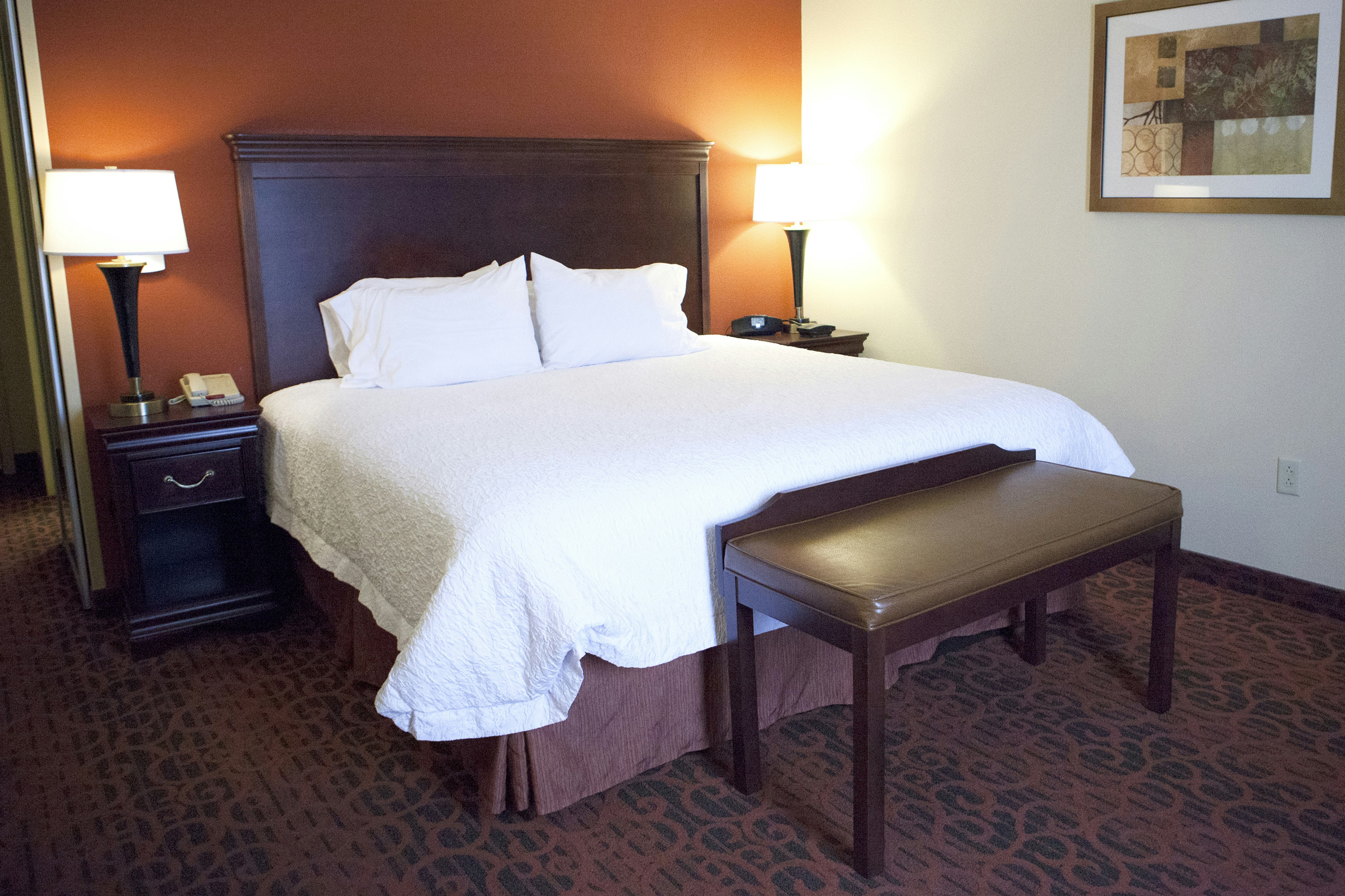 Hampton Inn Rochester-Webster