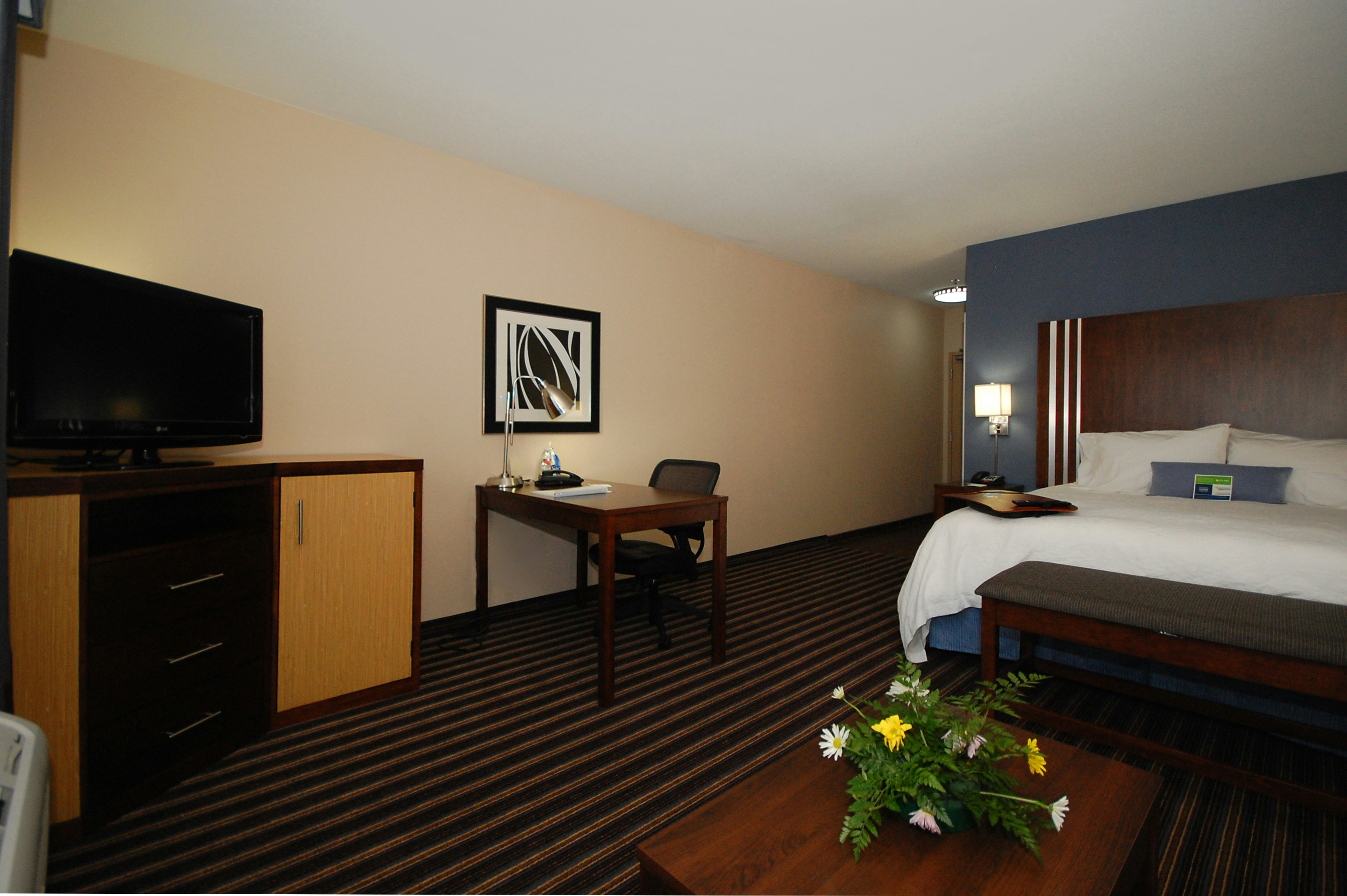 Hampton Inn Jackson/Flowood (Airport Area)