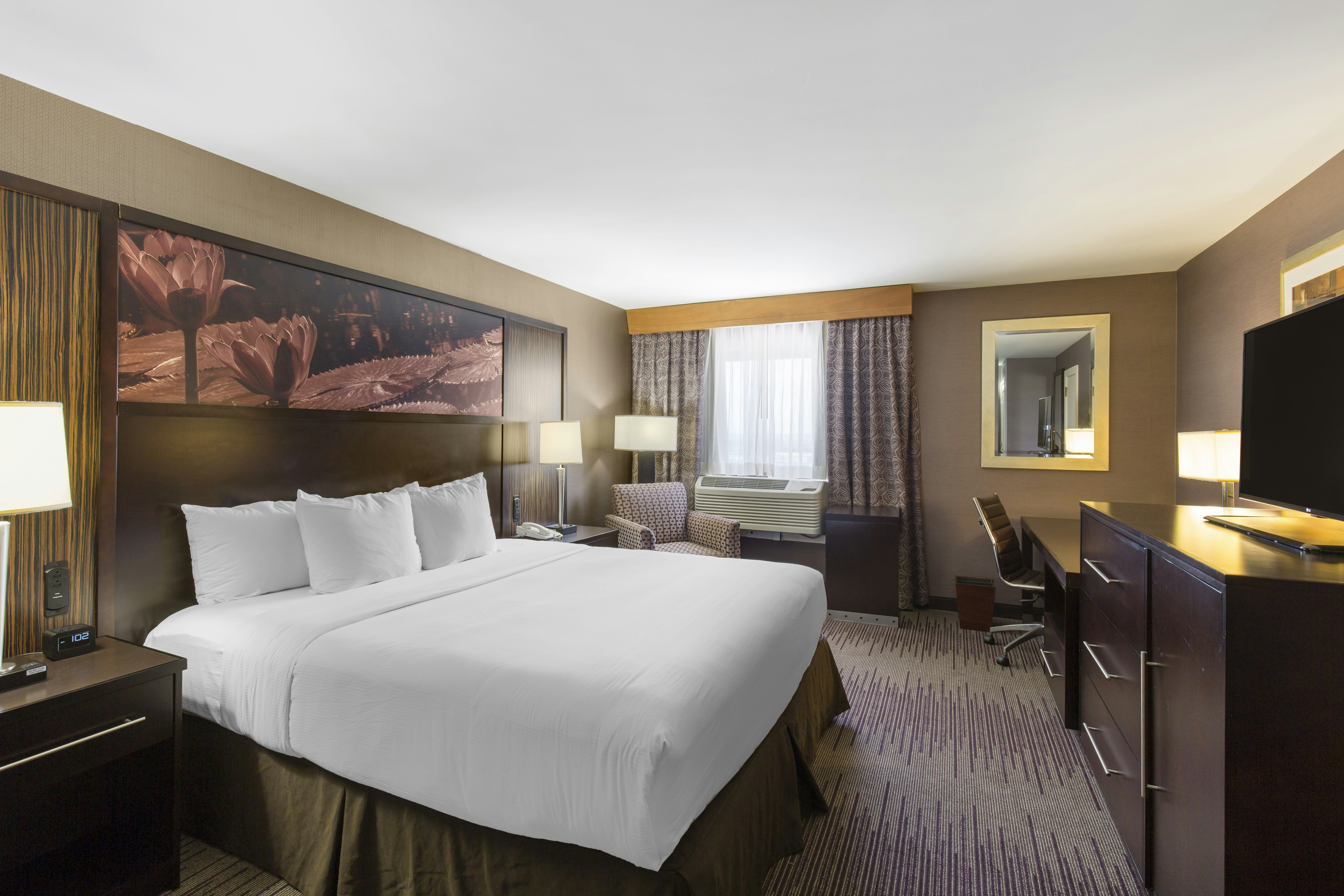 1 KING BED