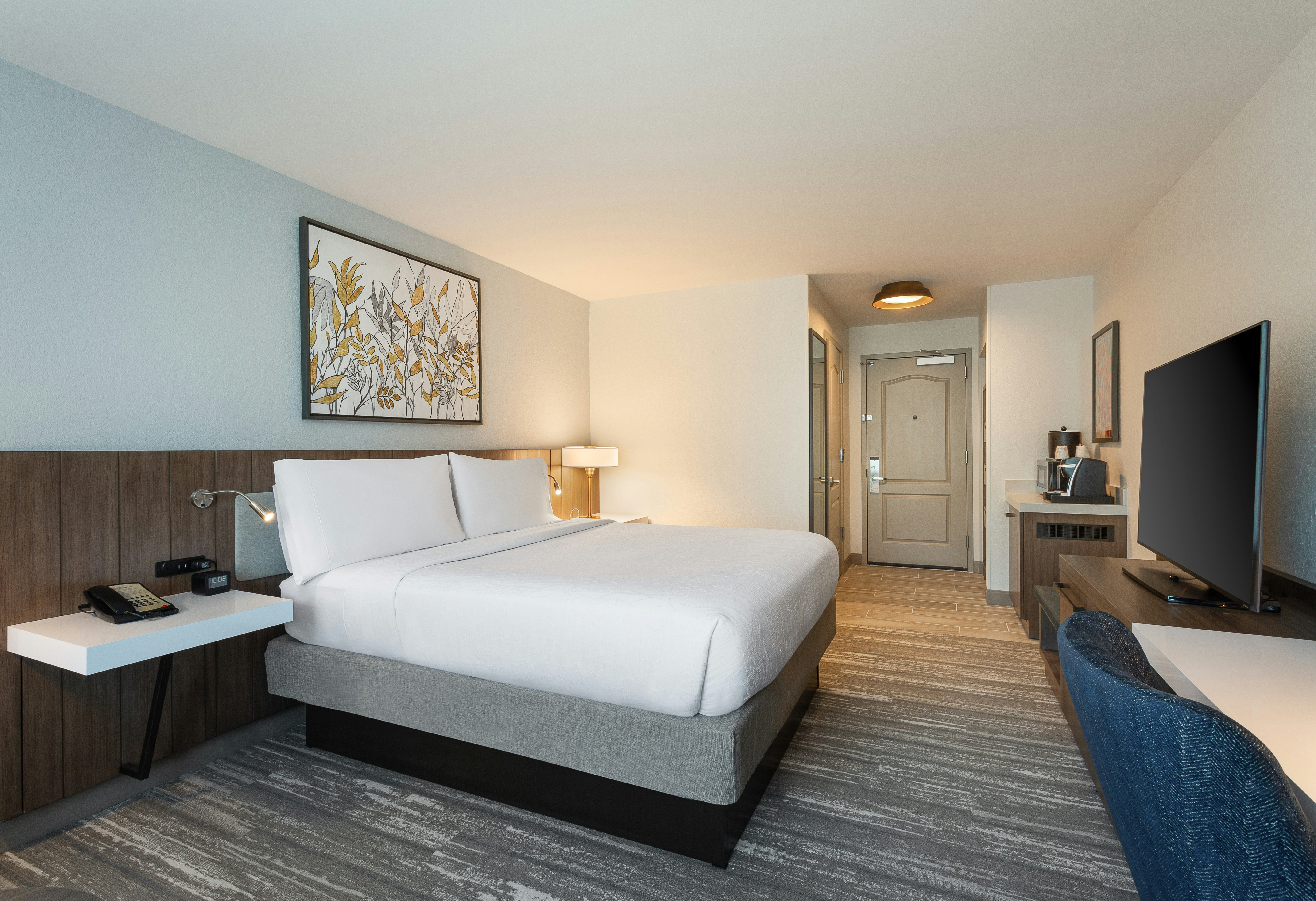 1 KING BED DELUXE
