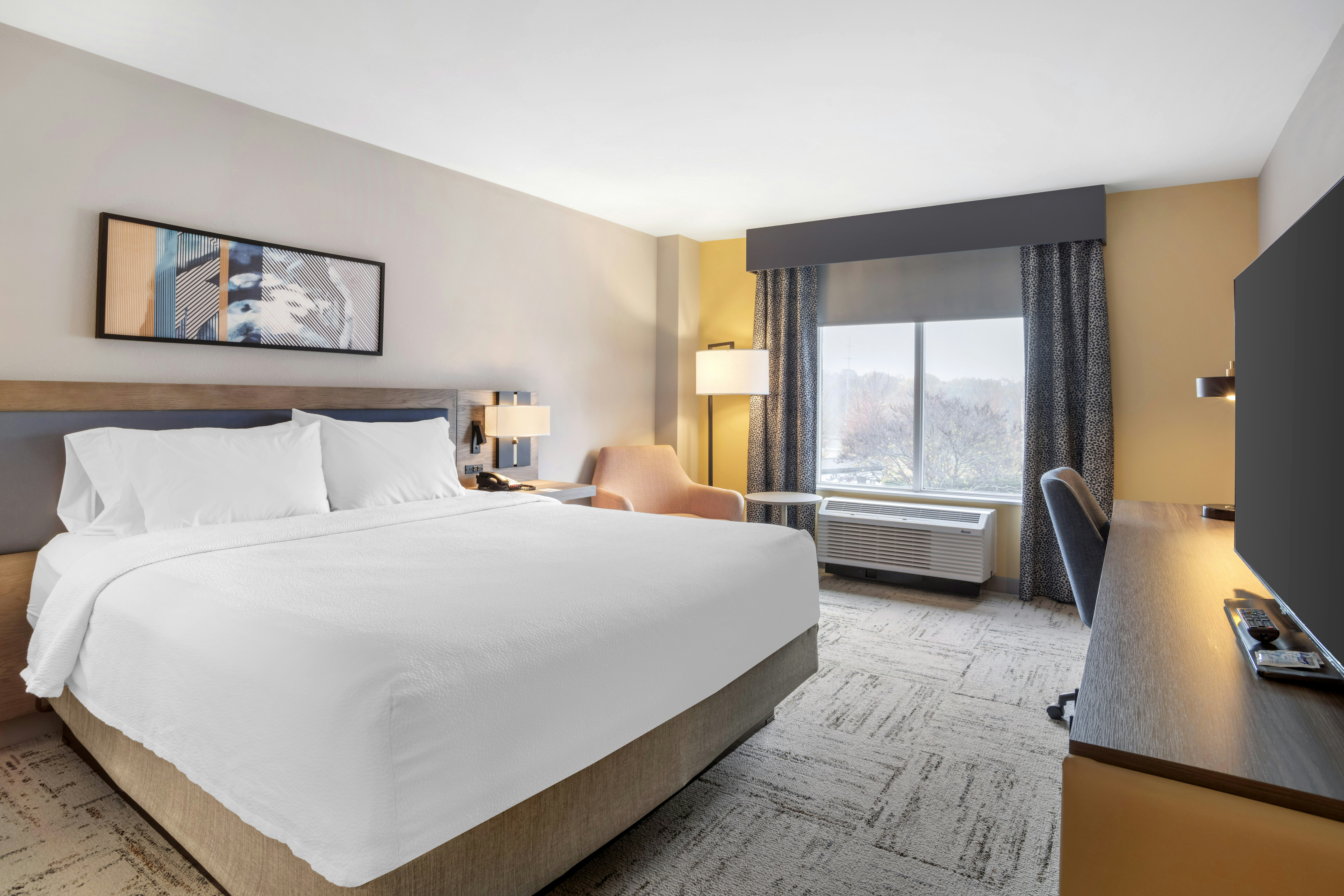 1 KING BED