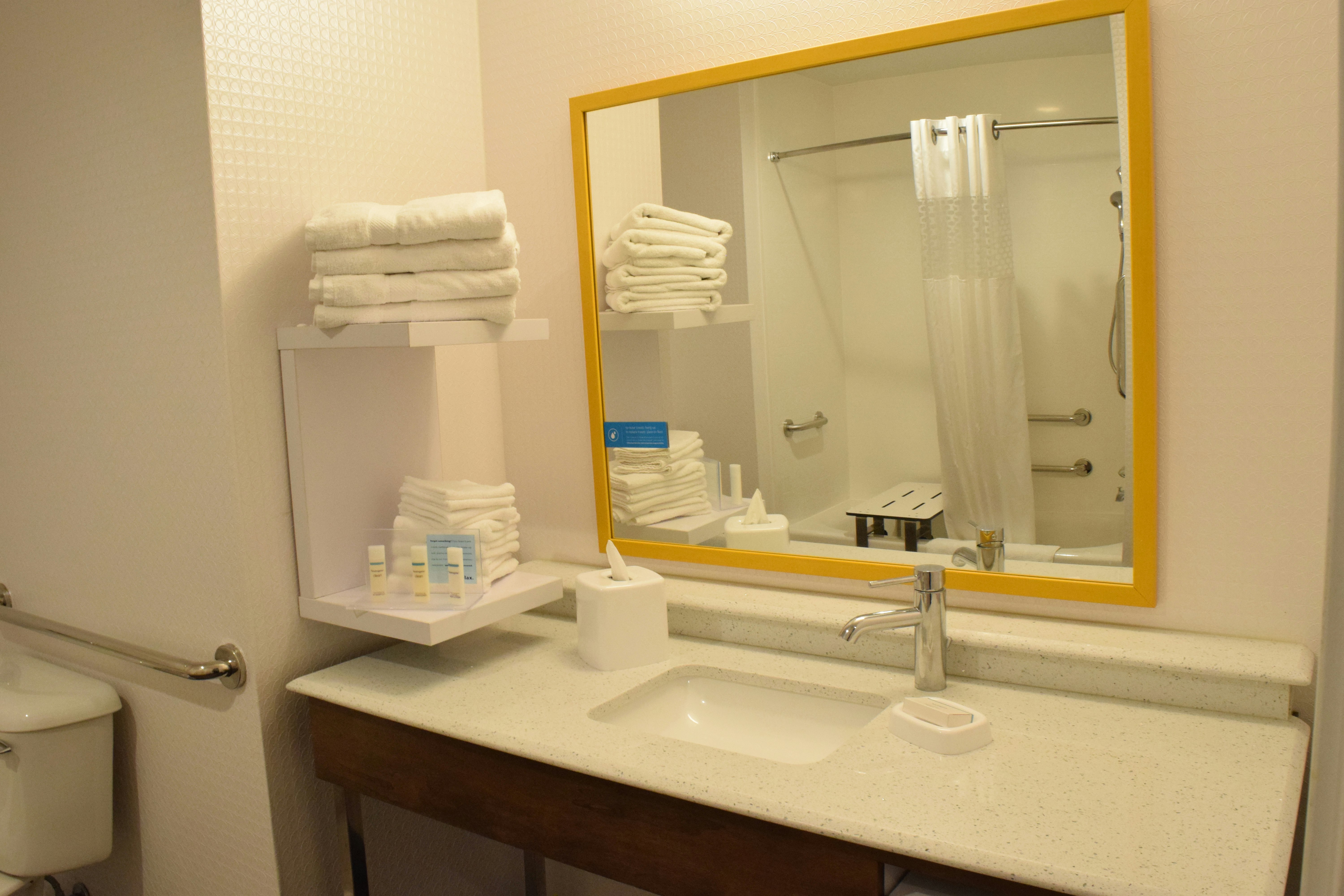 Hampton Inn Buffalo/Hamburg