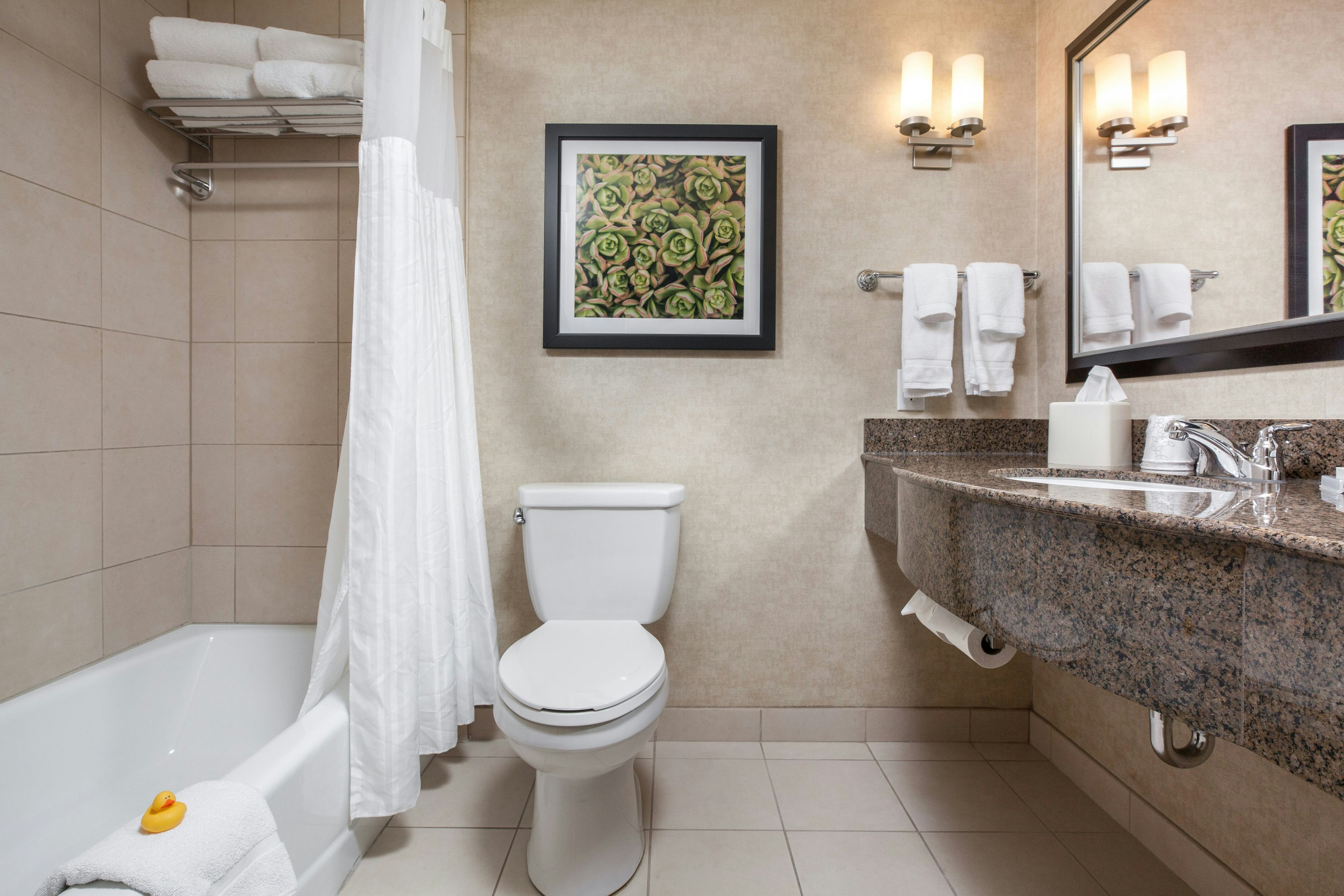 Hilton Garden Inn Fargo