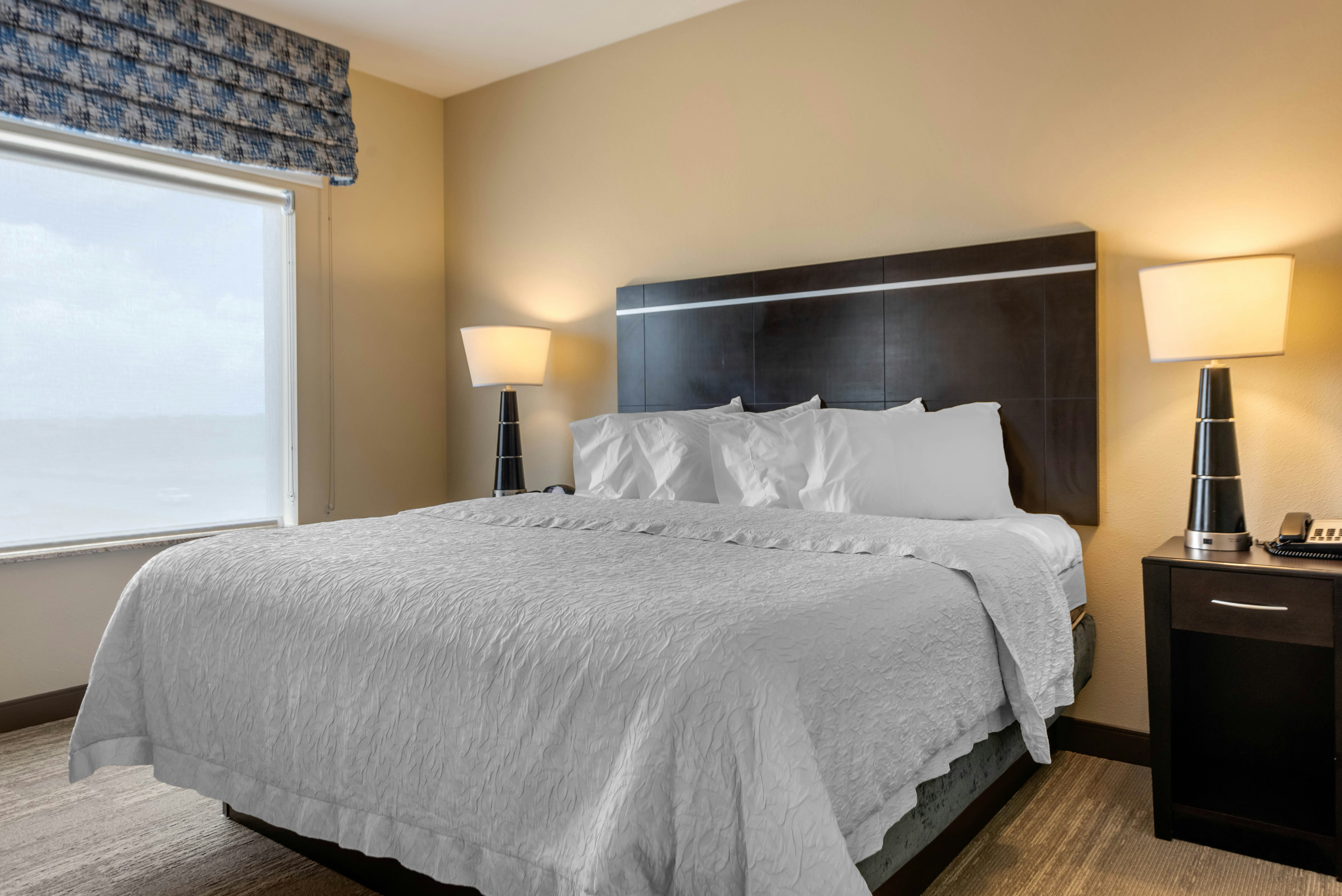 Hampton Inn Alamosa