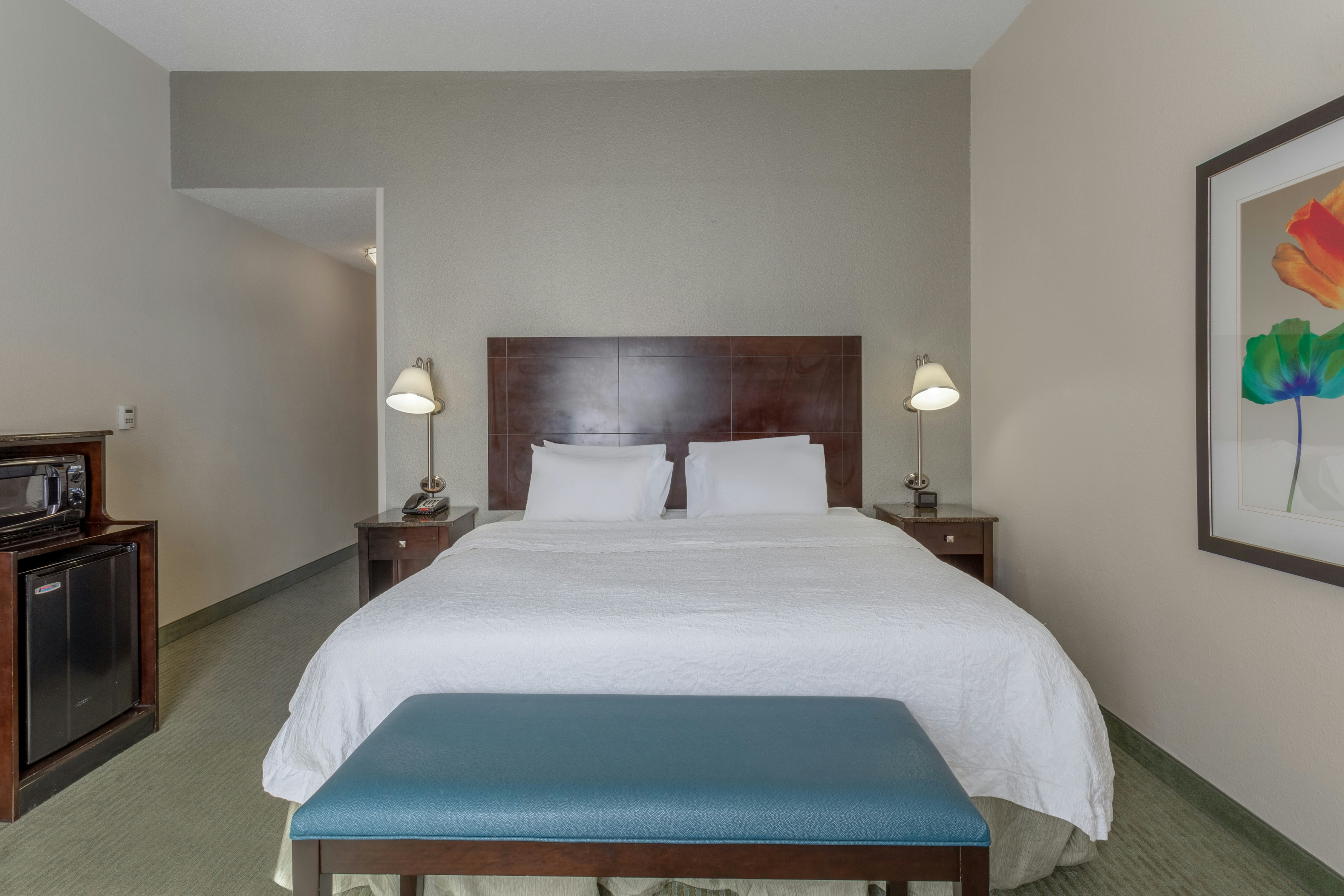Hampton Inn Richmond-South