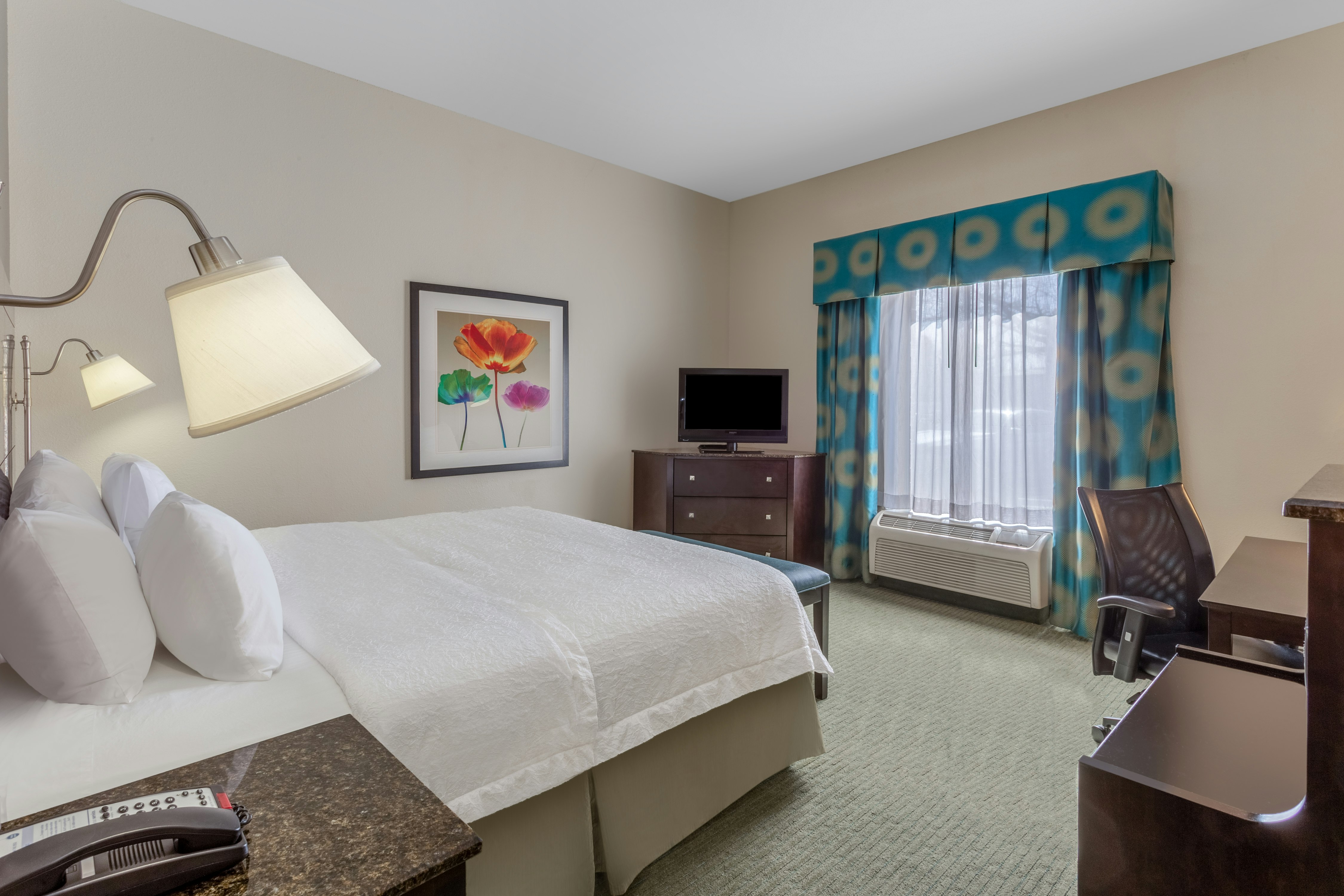 Hampton Inn Richmond-South
