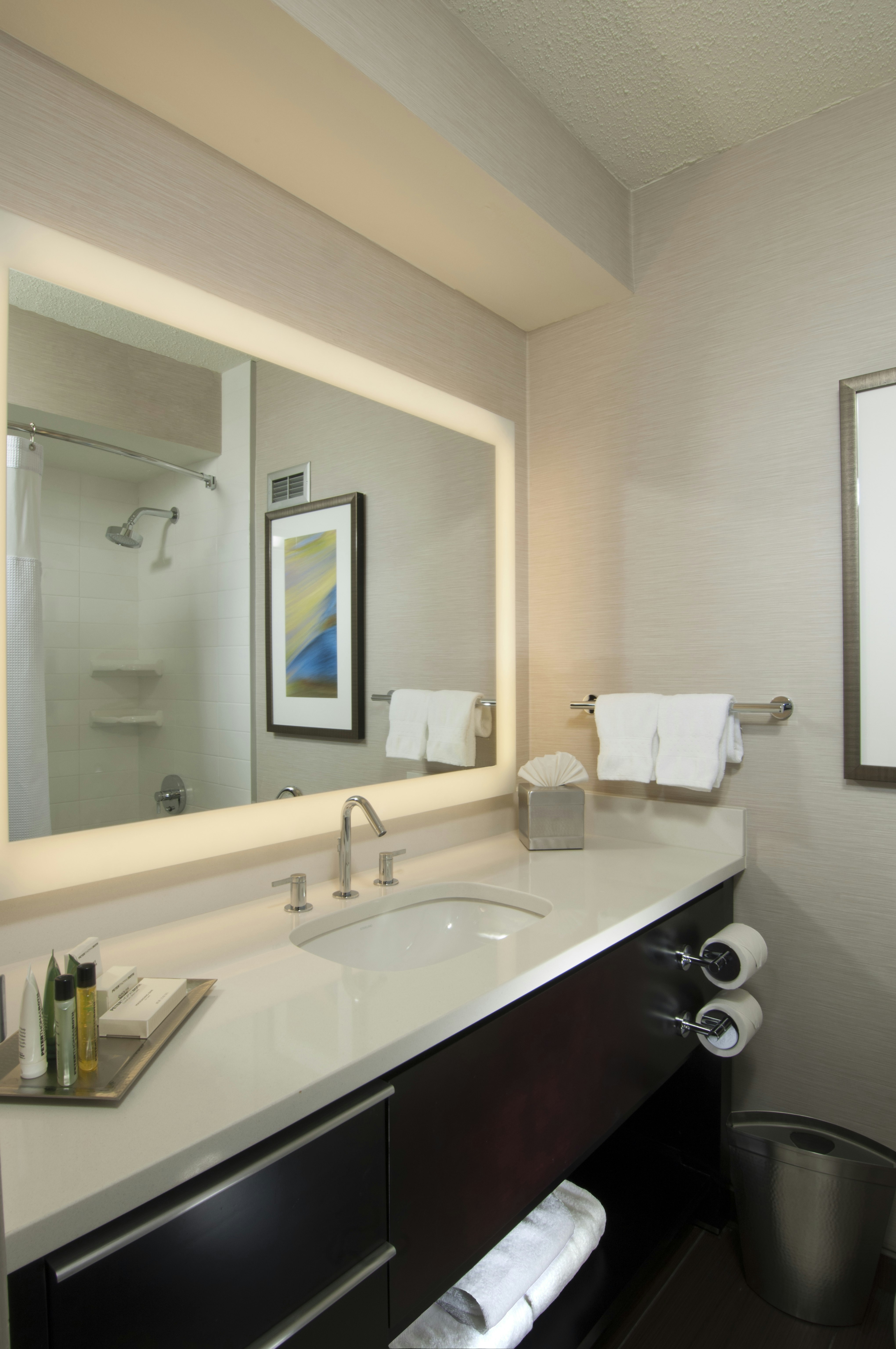 Hilton Albany