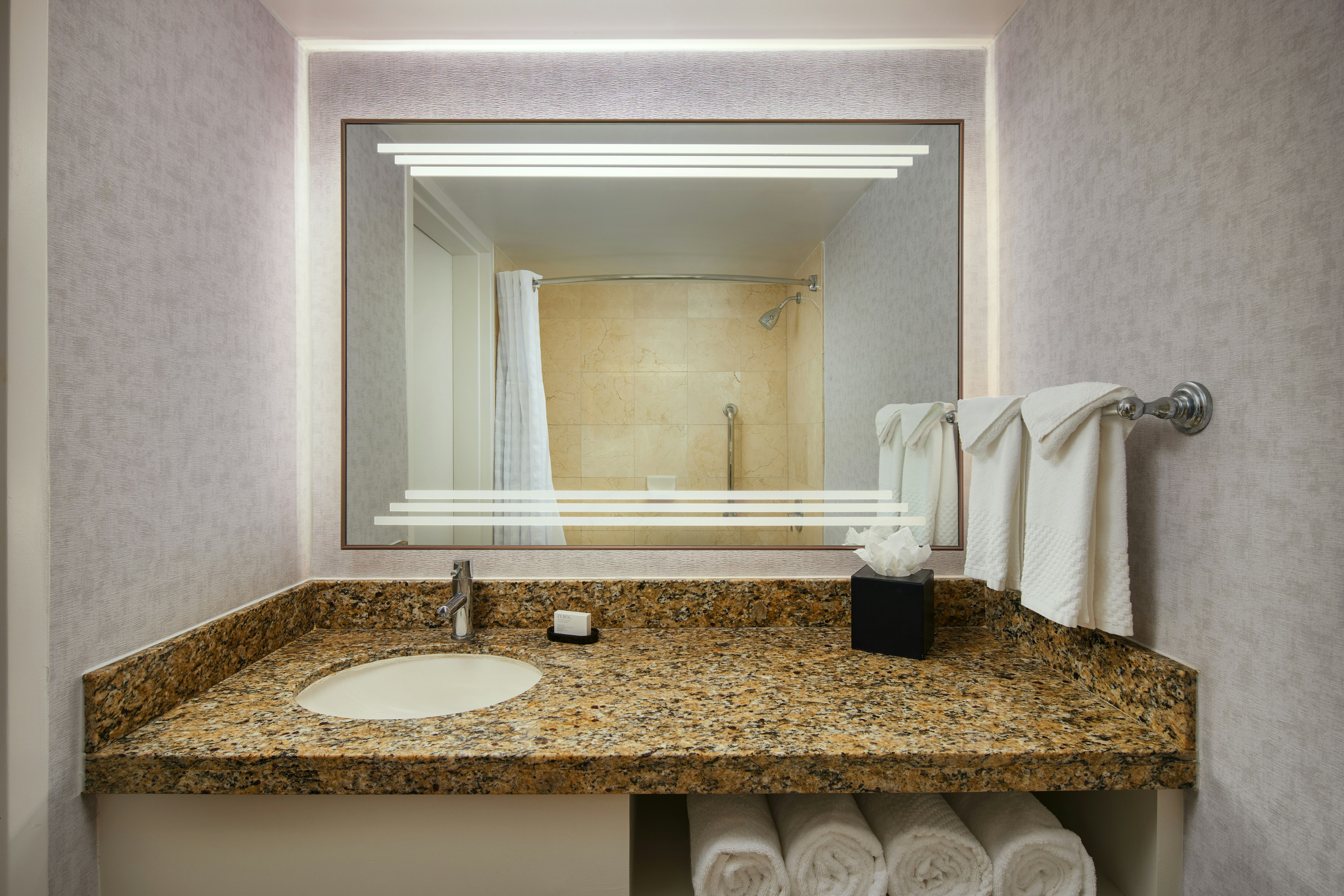 Embassy Suites by Hilton West Palm Beach Central