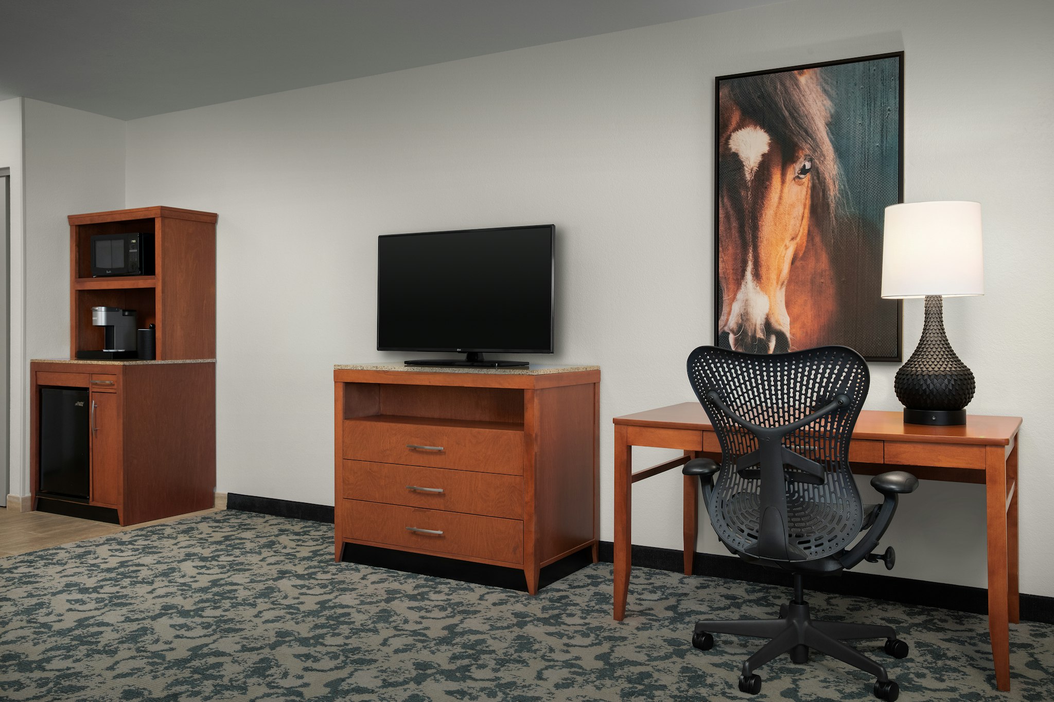 Hilton Garden Inn Fort Worth Medical Ctr