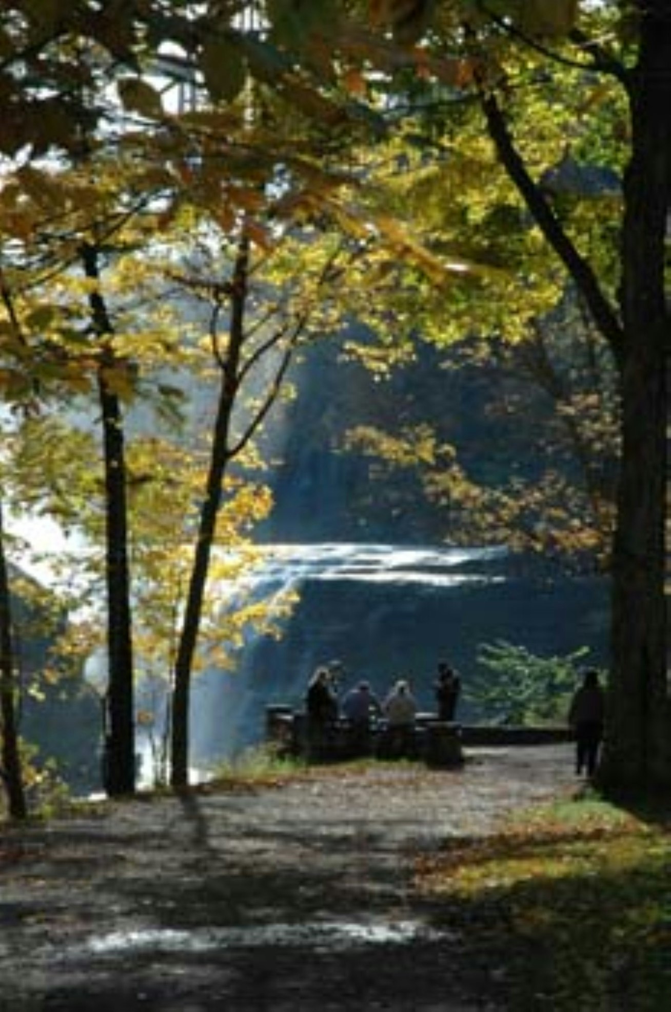 Venue cover photo