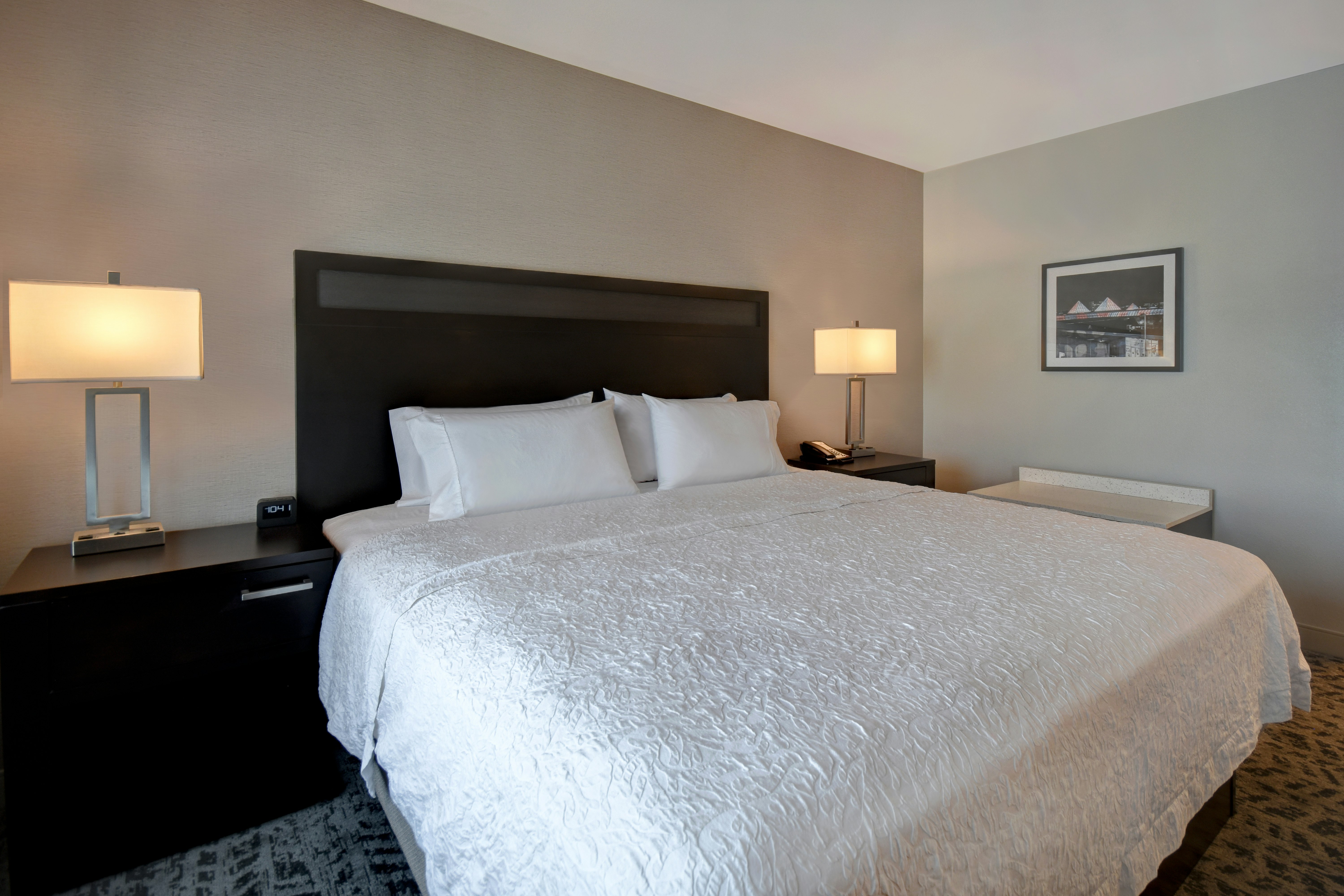 Hampton Inn & Suites Columbia South Fort Meade Area