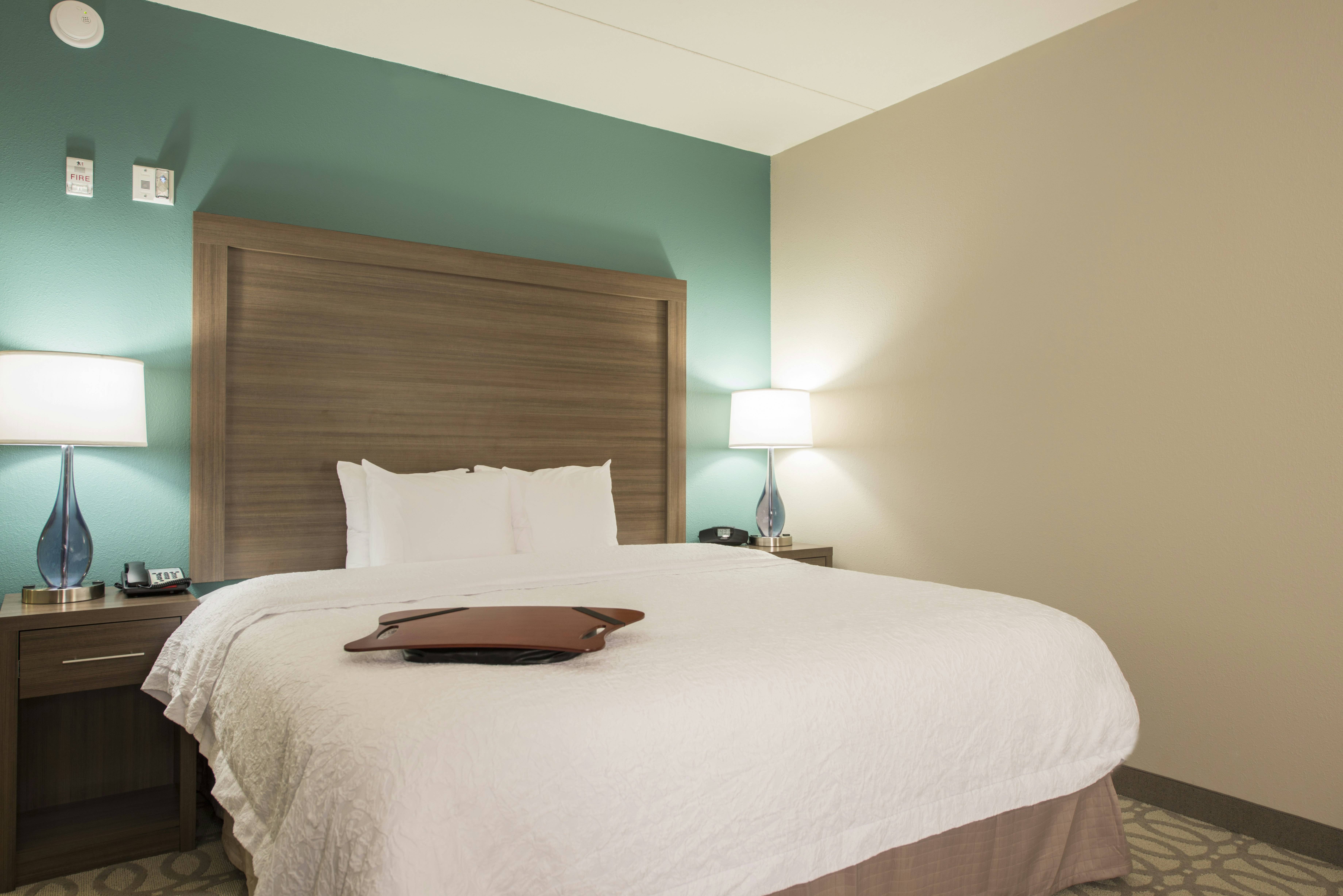 Hampton Inn Greenville/I-385 Haywood Mall