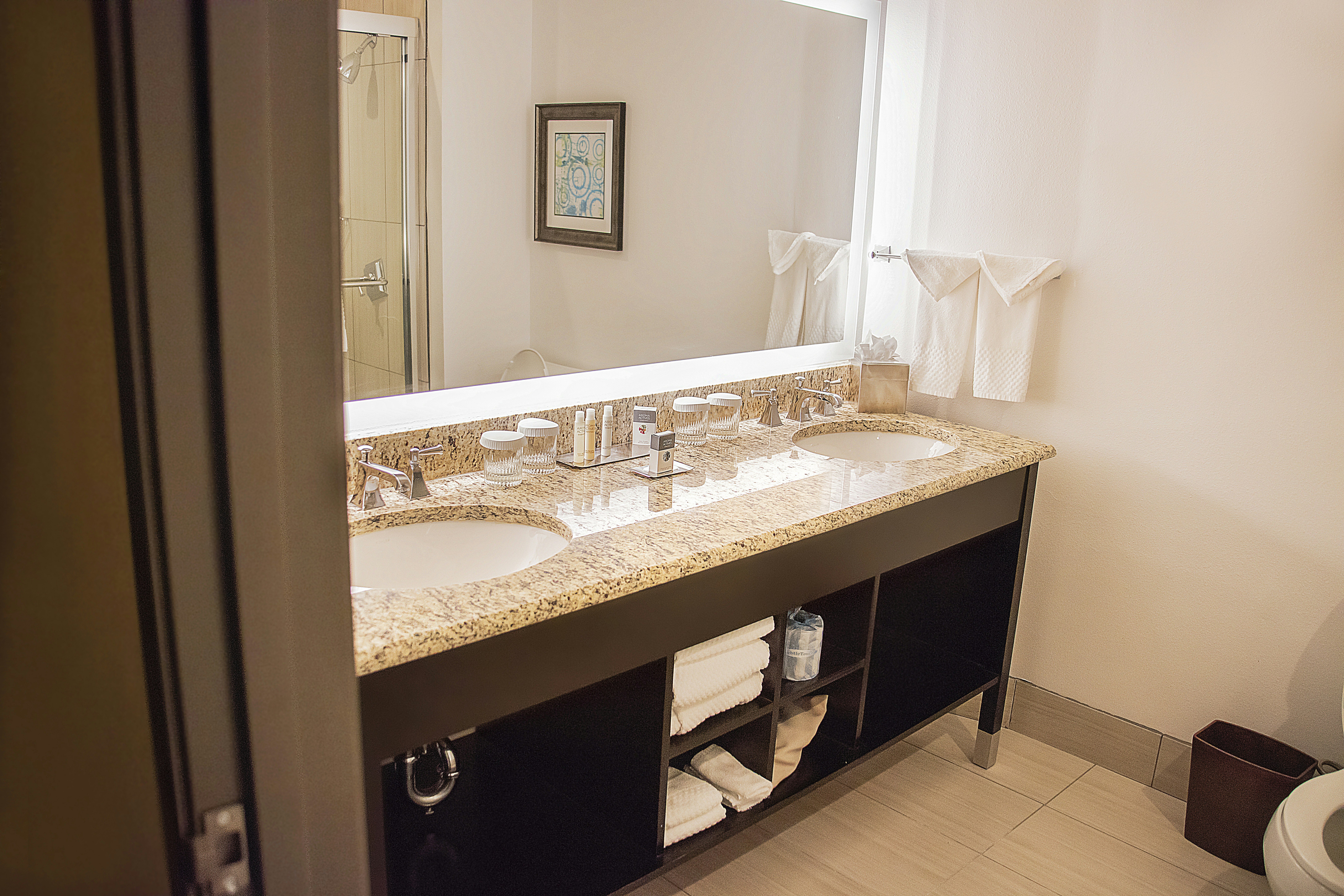 DoubleTree Suites by Hilton McAllen