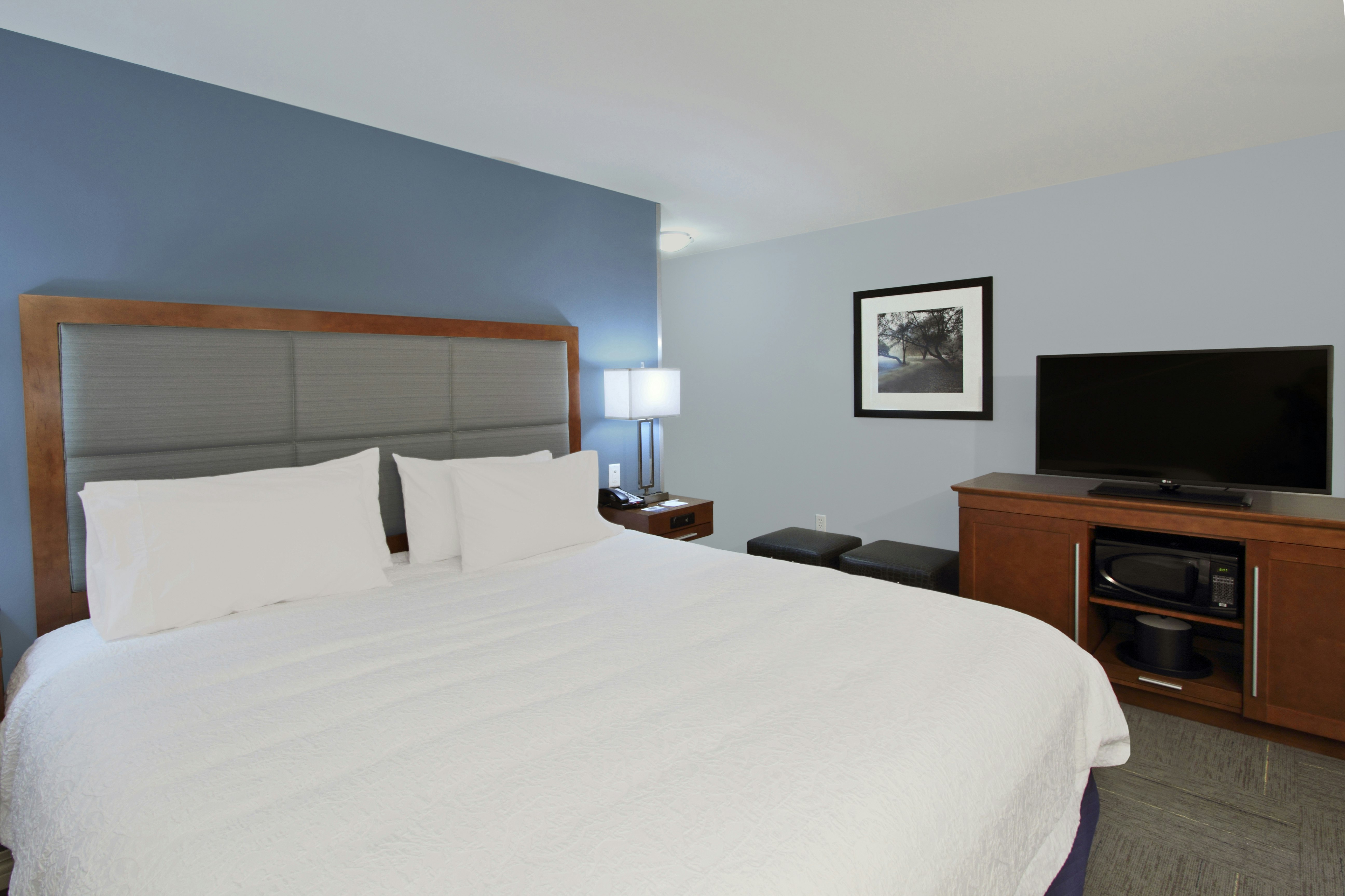 Hampton Inn Jackson/Richland-Highway 49