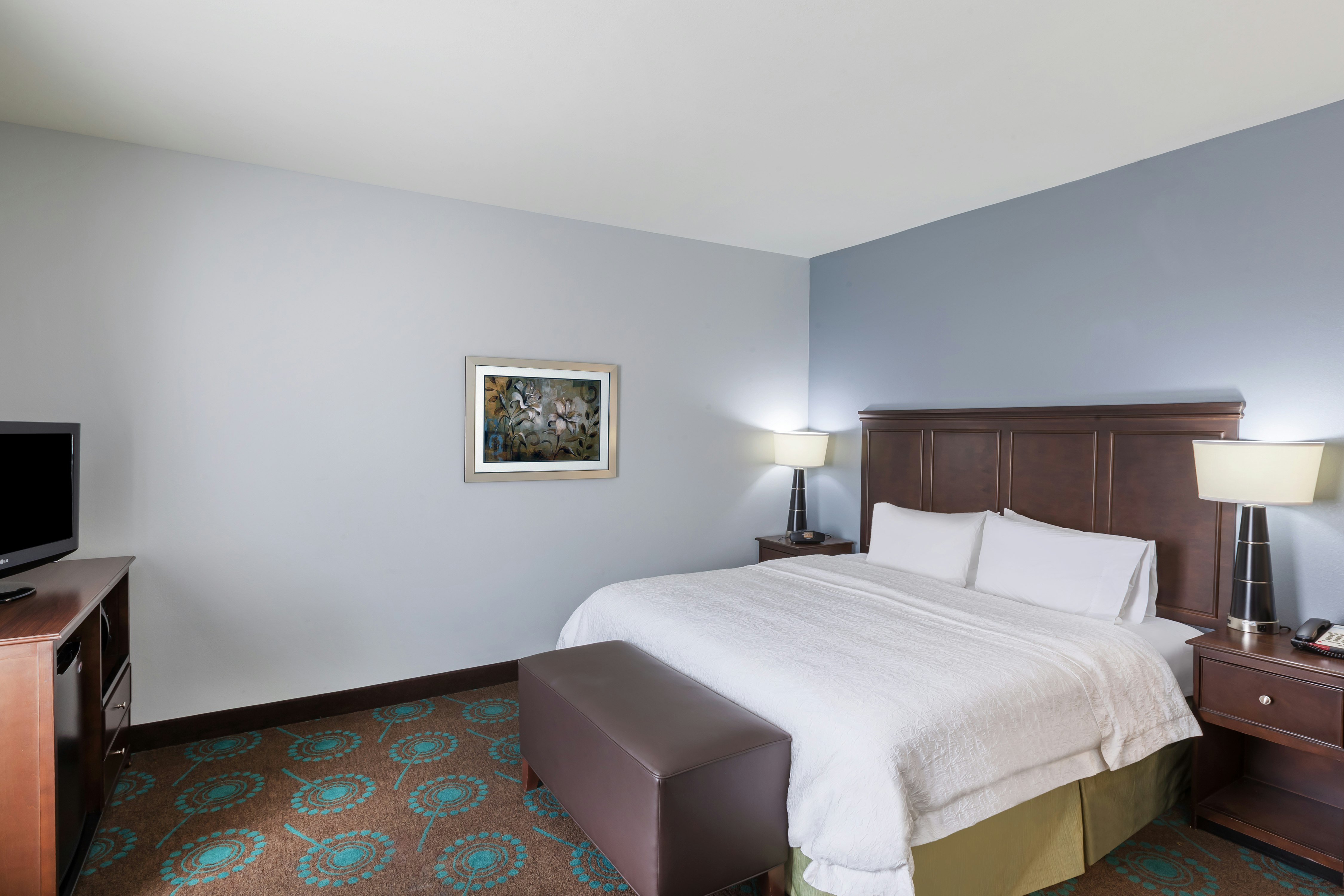 Hampton Inn & Suites Shreveport/Bossier City at Airline Drive