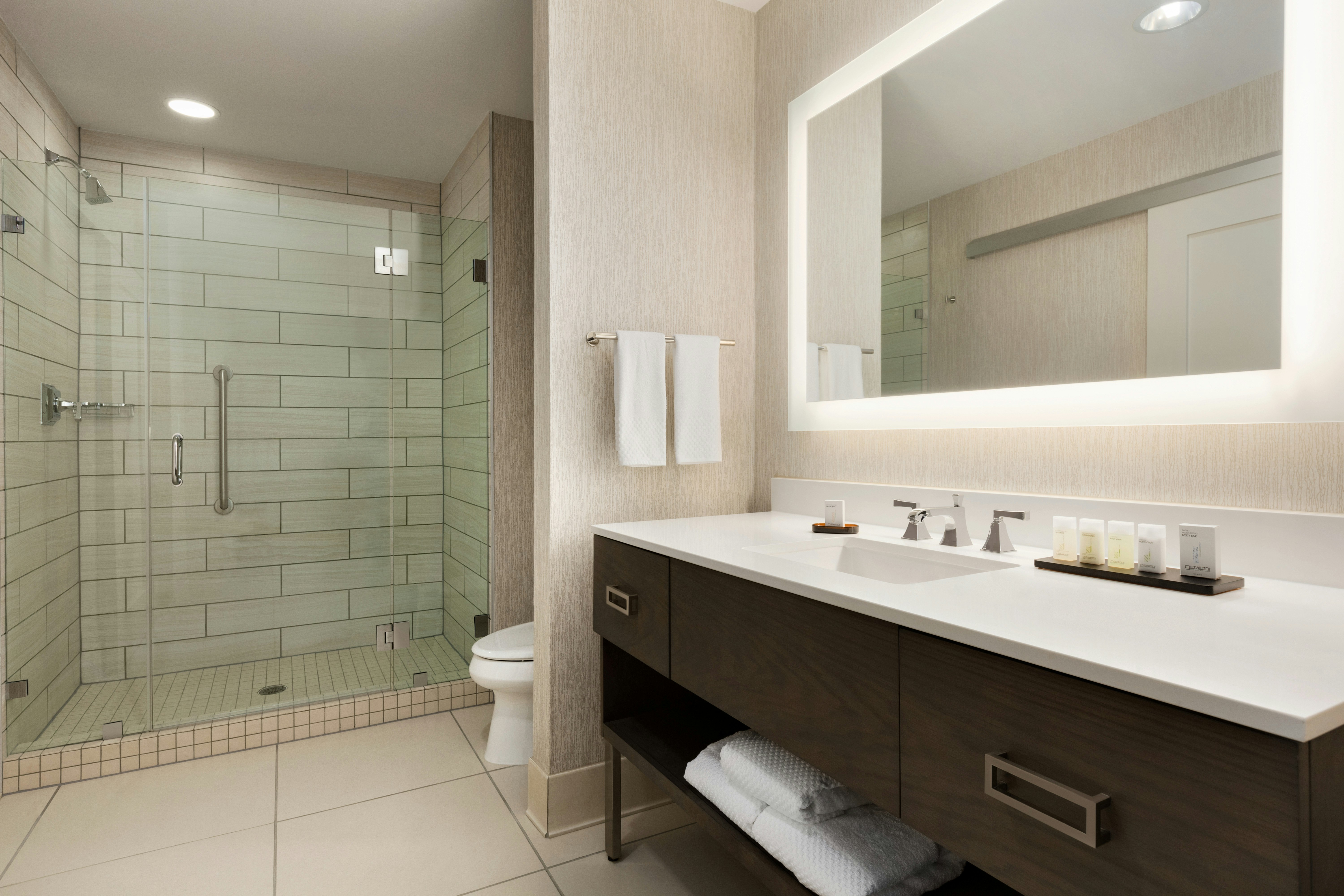Embassy Suites San Antonio Brooks Hotel & Spa