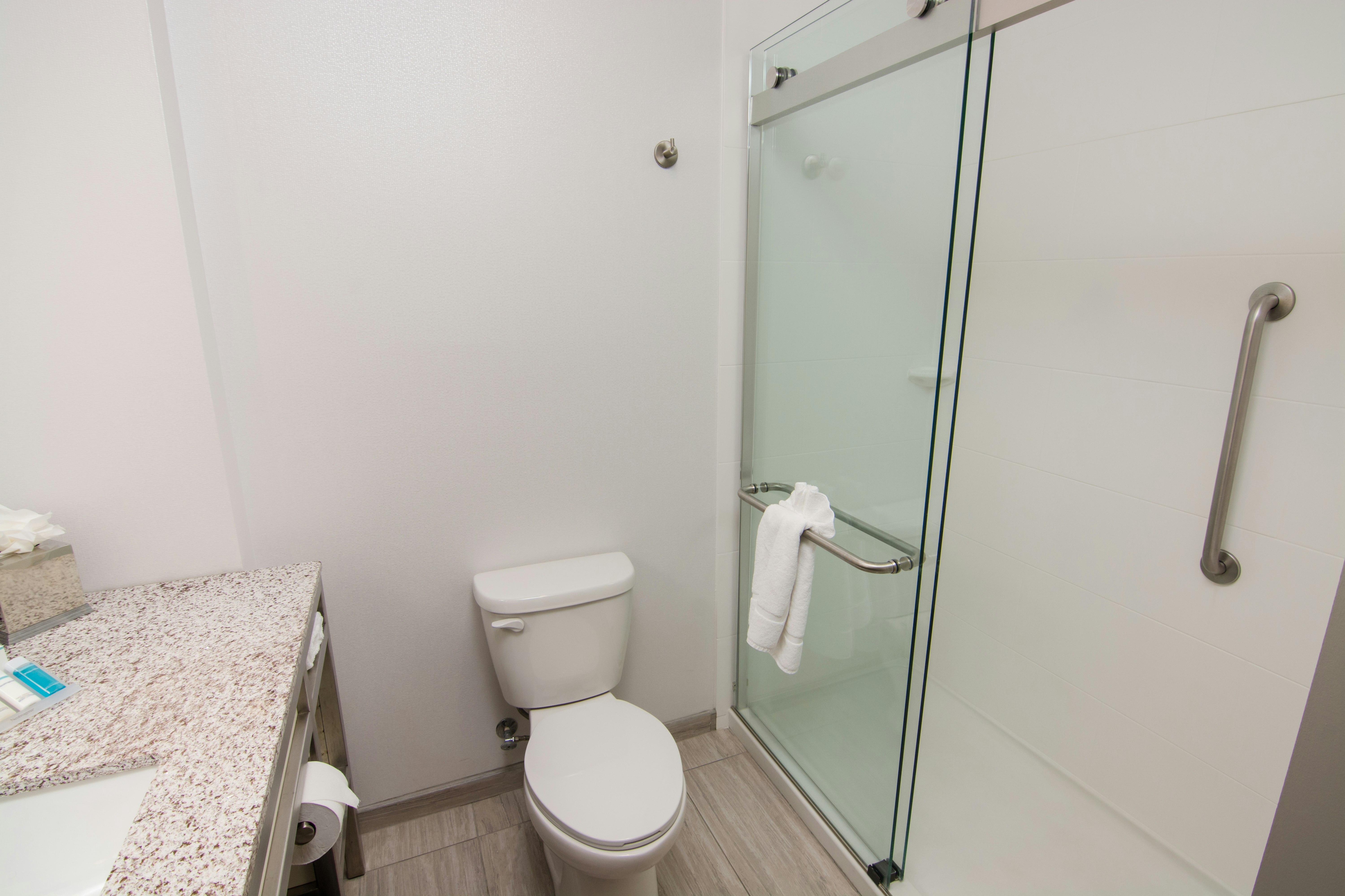 Hilton Garden Inn Tampa Suncoast Parkway