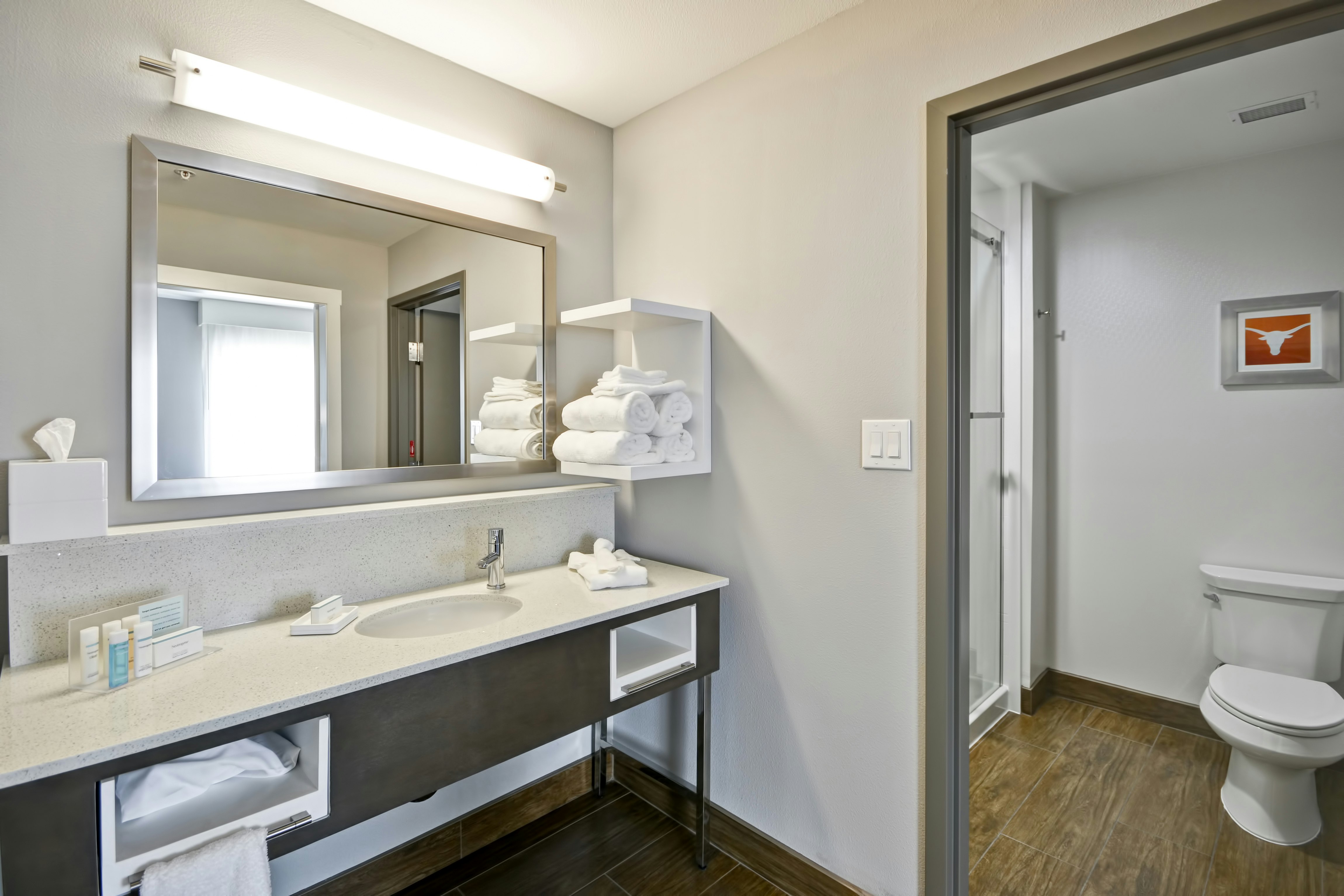Hampton Inn Kyle, TX