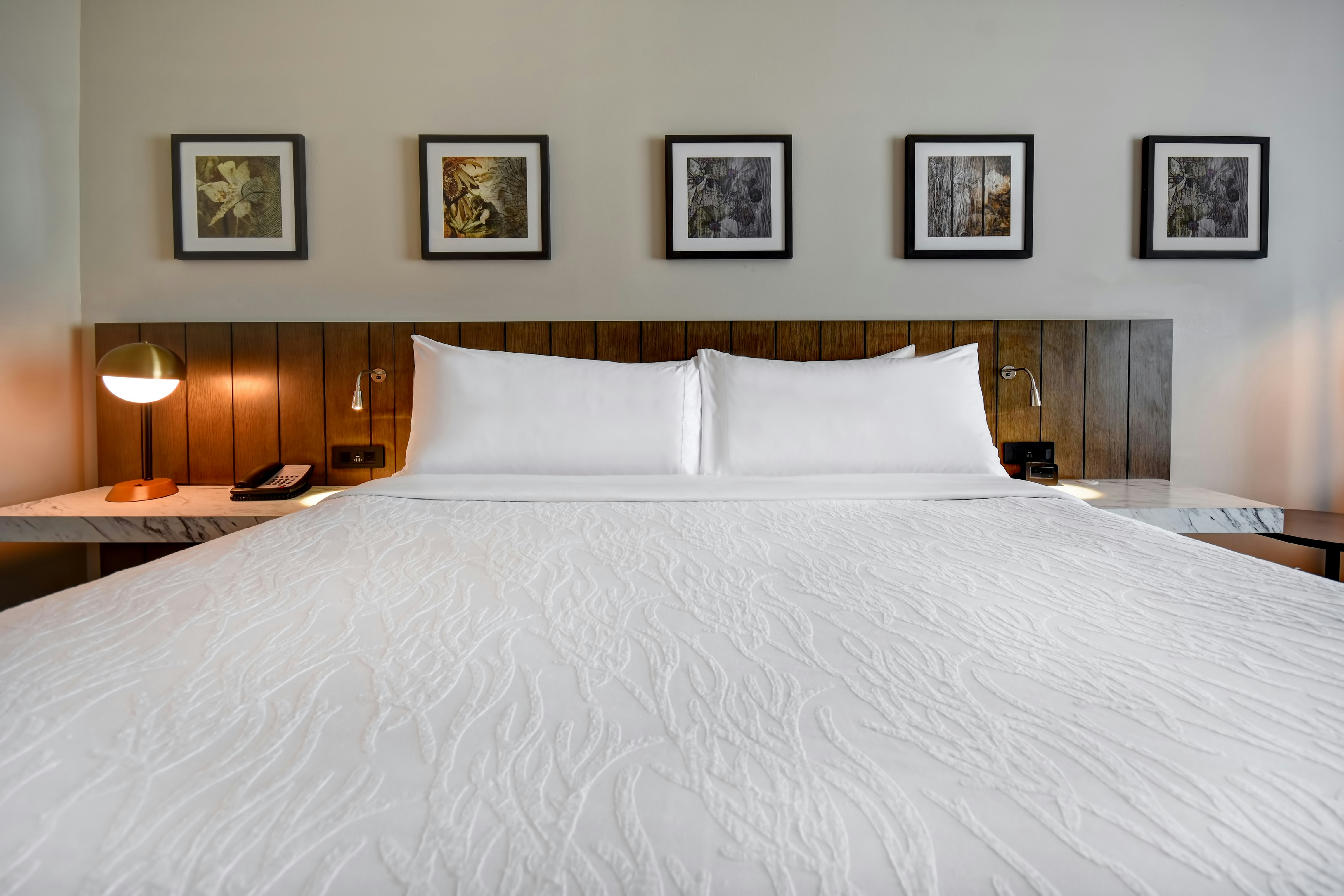 Hilton Garden Inn Jackson
