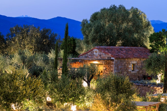 Mandarina - Exterior Night