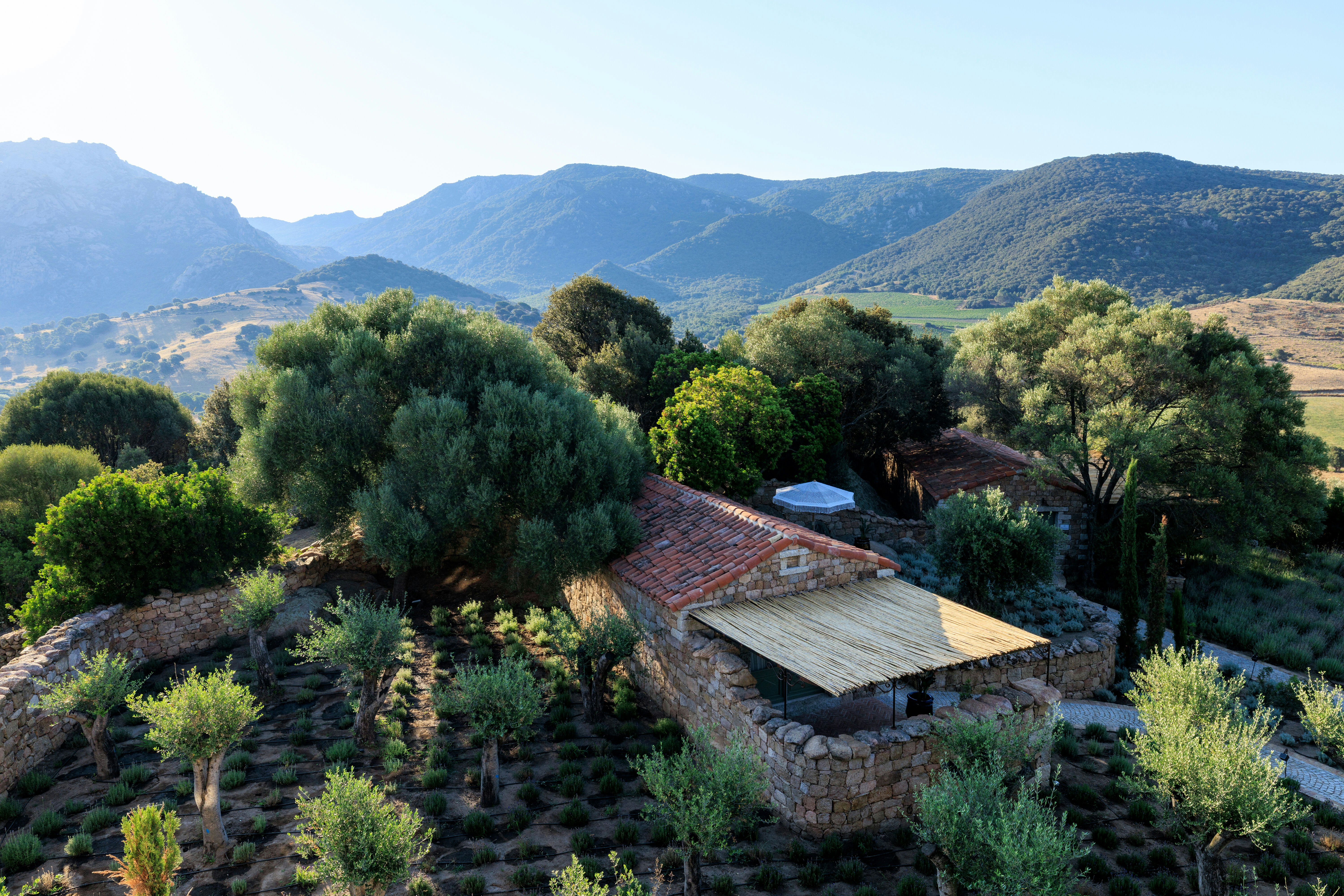 Mandarina deluxe room_aerial view