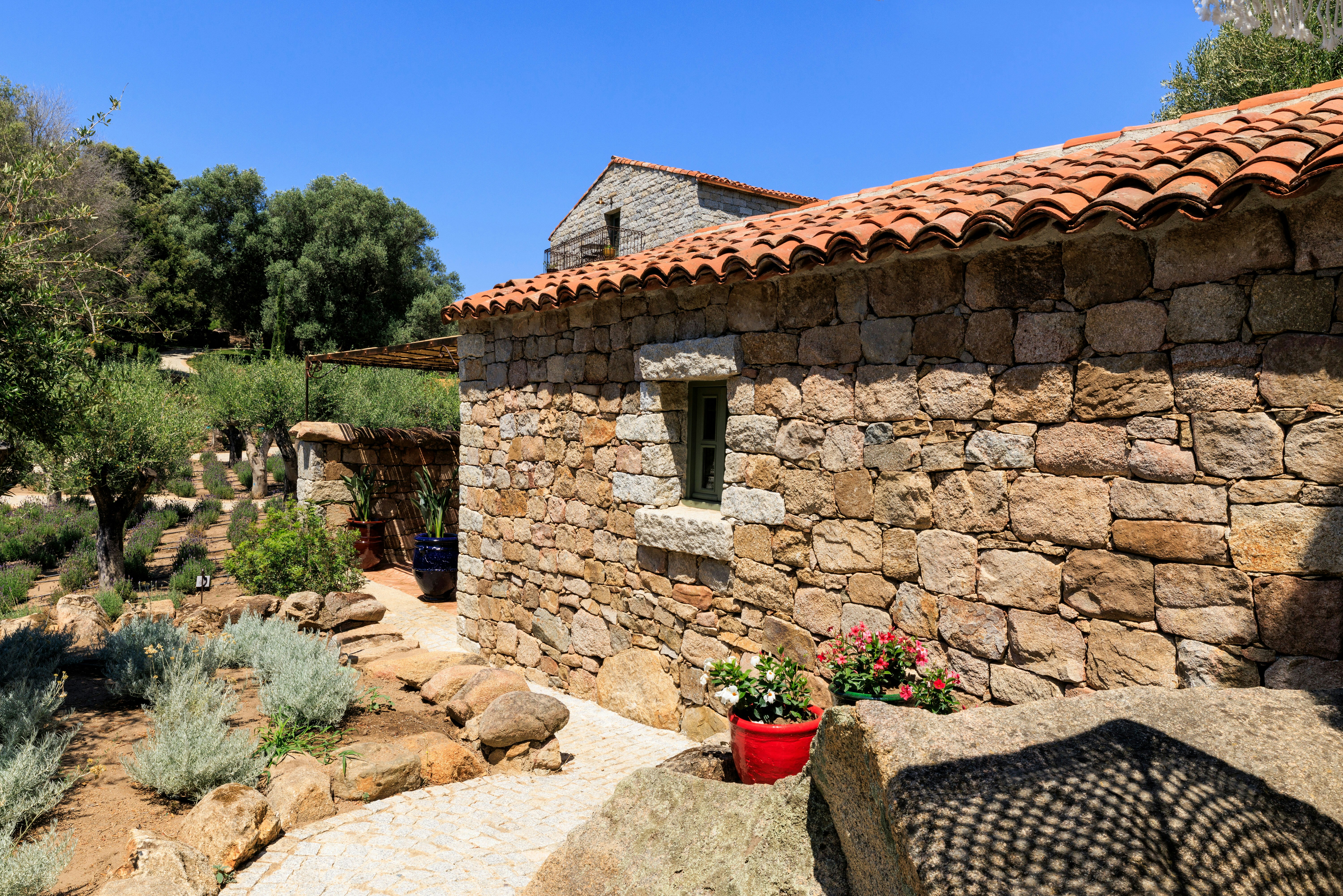 Mandarina deluxe room_terrace