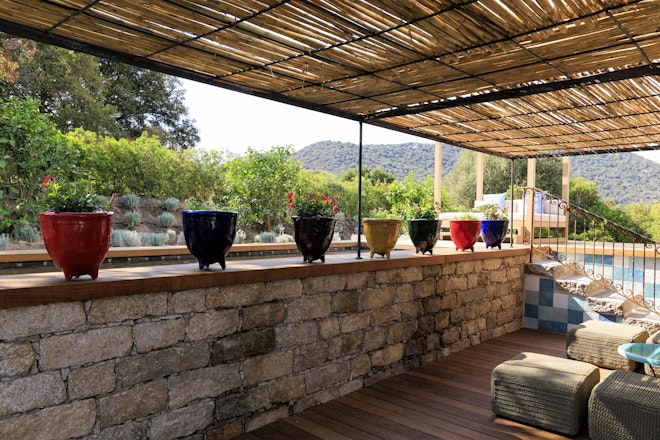 Amandula - Patio