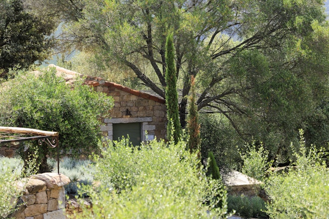 Clementina - Exterior