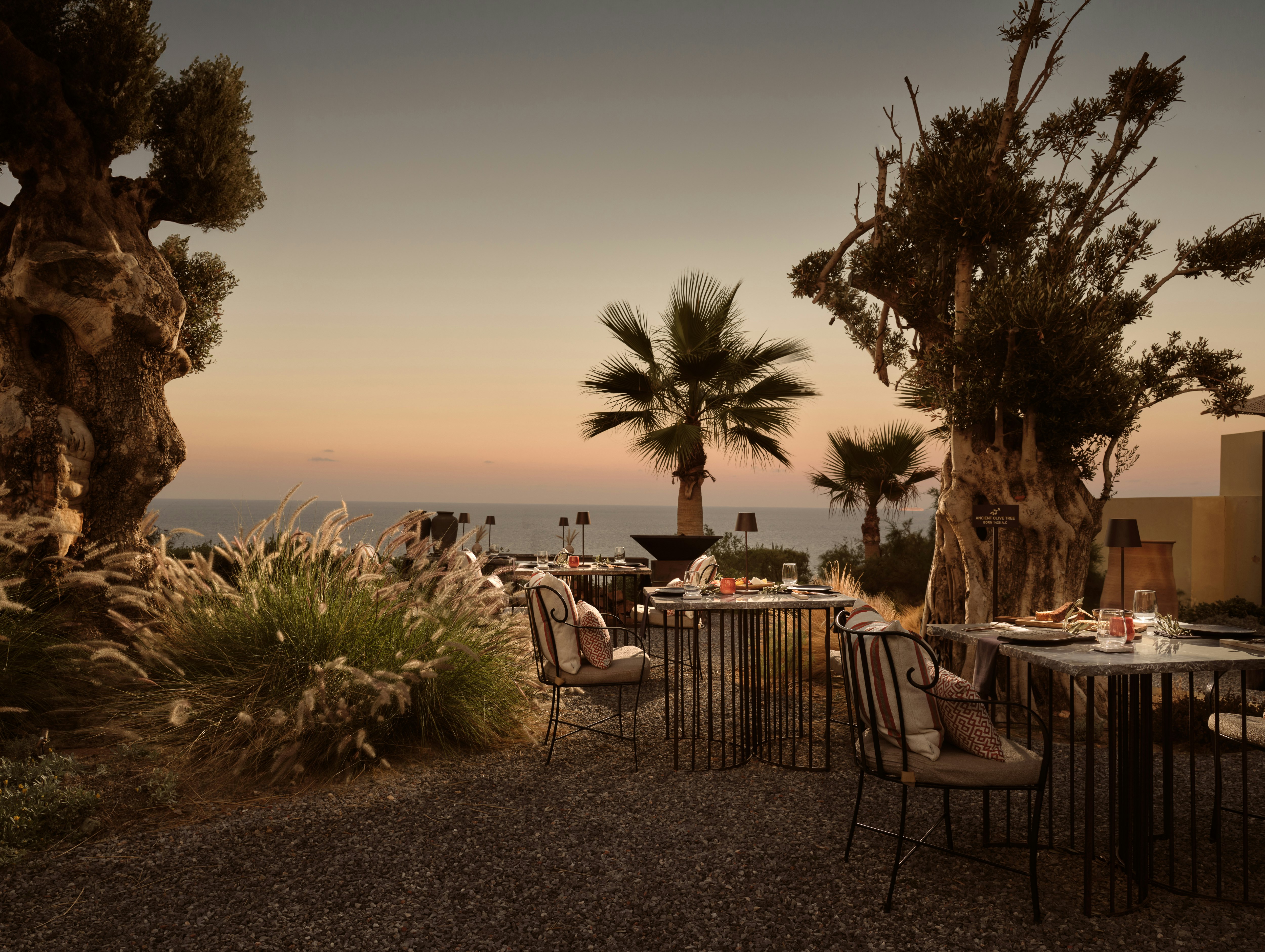 Eleonas Restaurant - Sunset