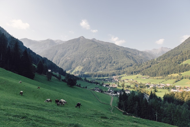 Nature