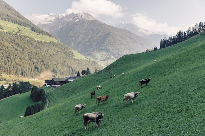 Nature