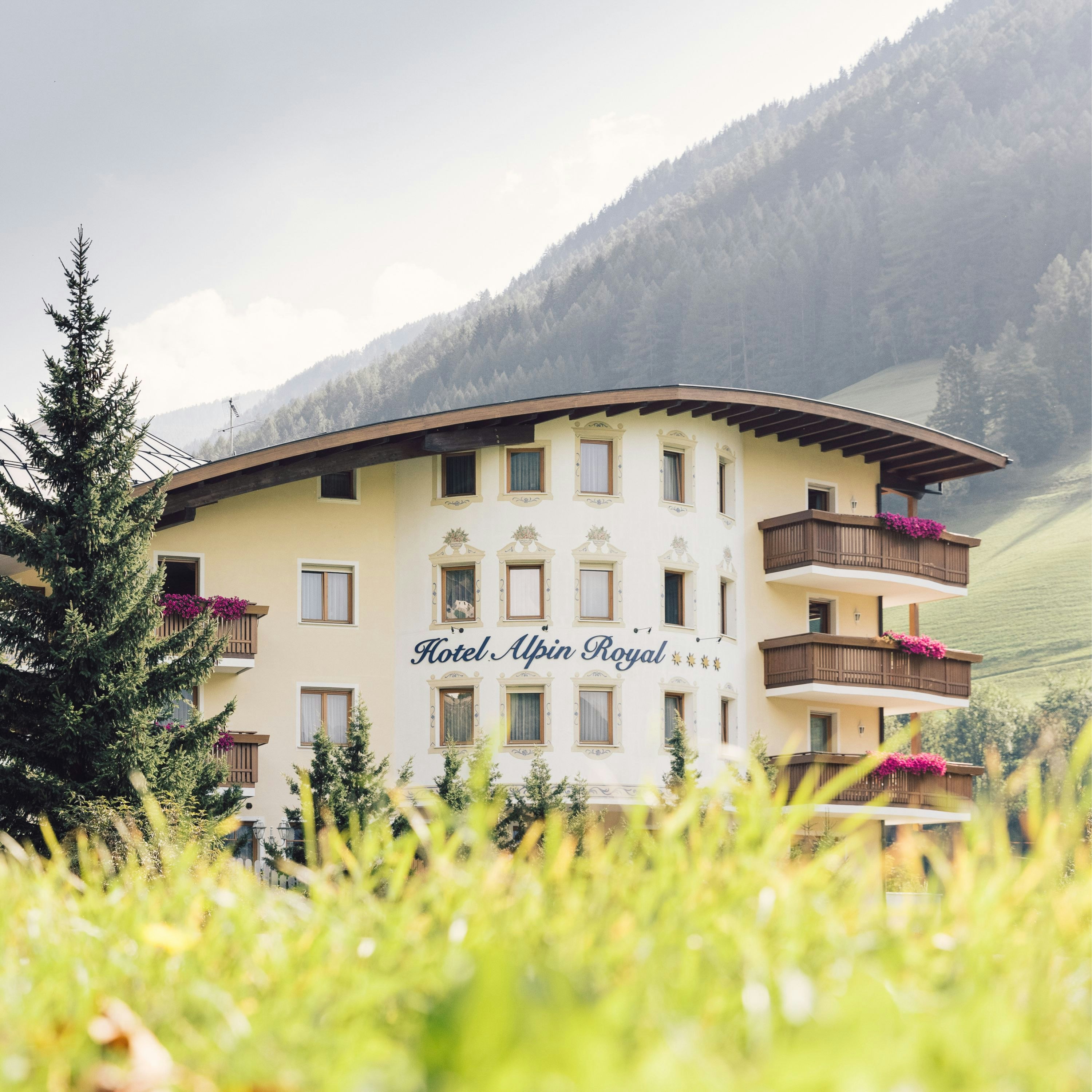 Alpin Royal