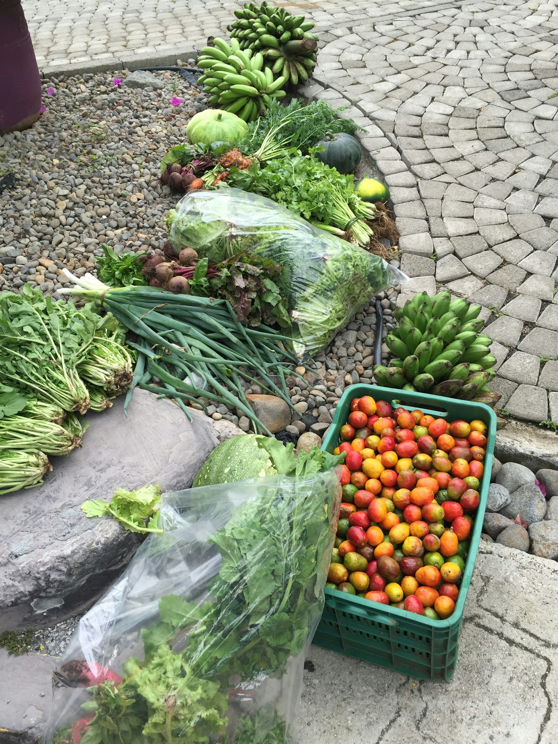 Farm-to-Table Dining