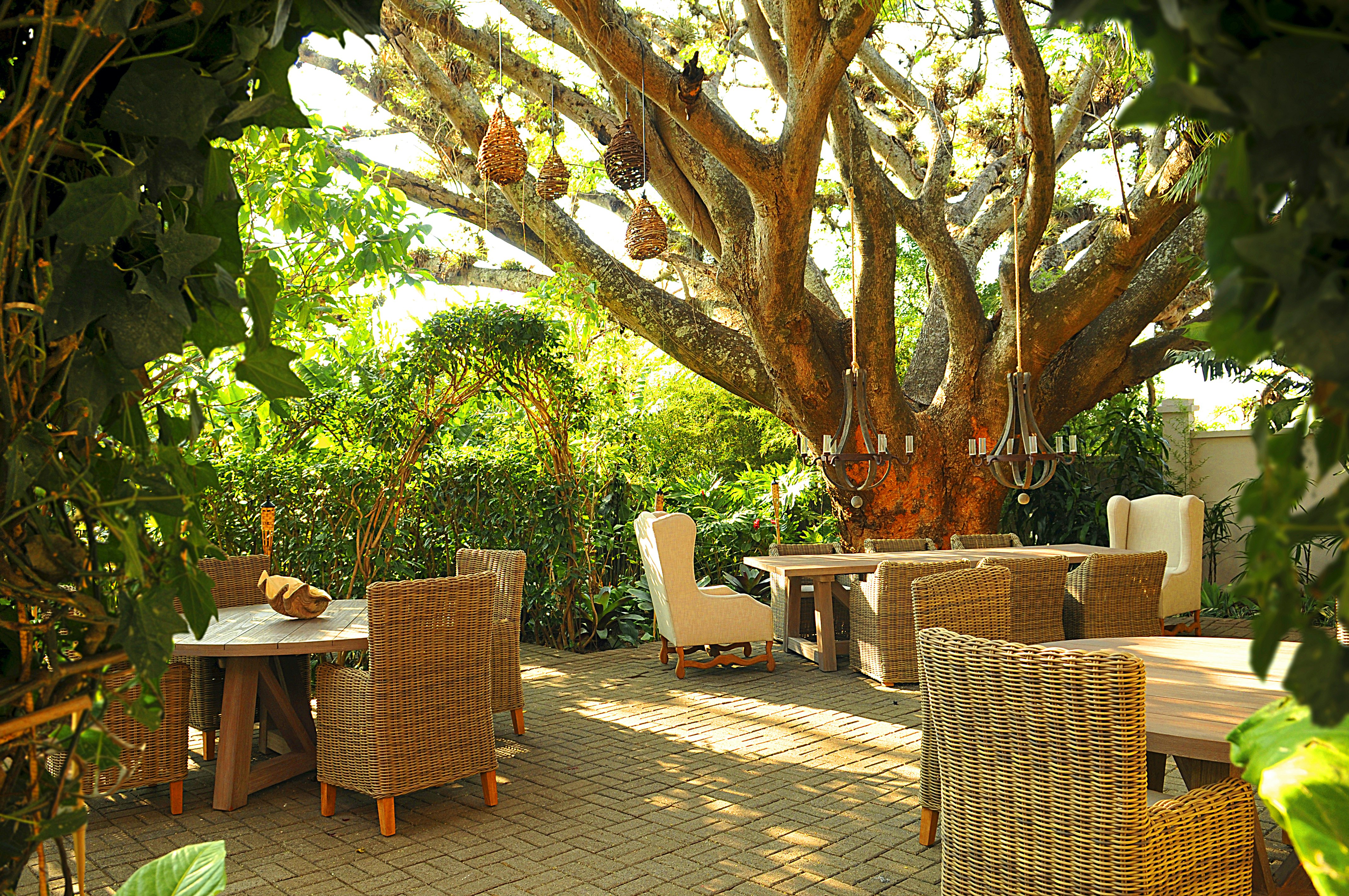 Tree Terrace Dining