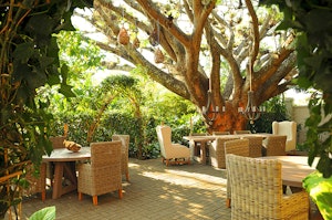 Tree Terrace Dining