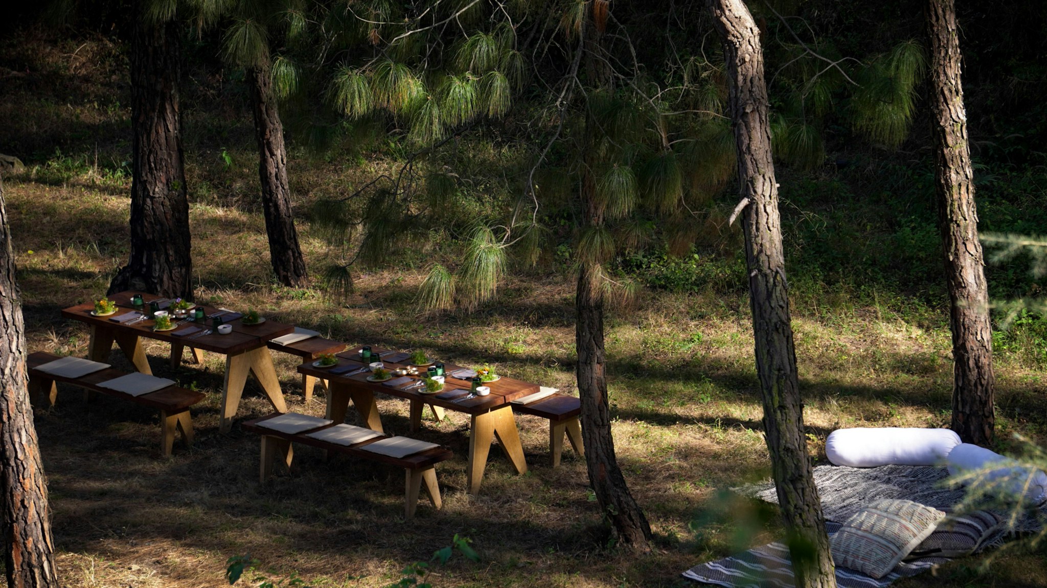 Amaya Dhaam Dining Experience