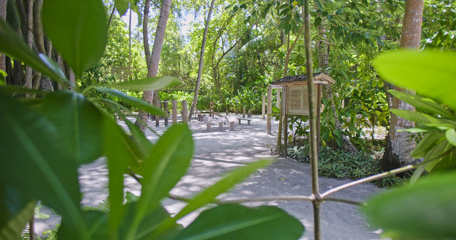 Sustainable Jungle Gym At Amilla