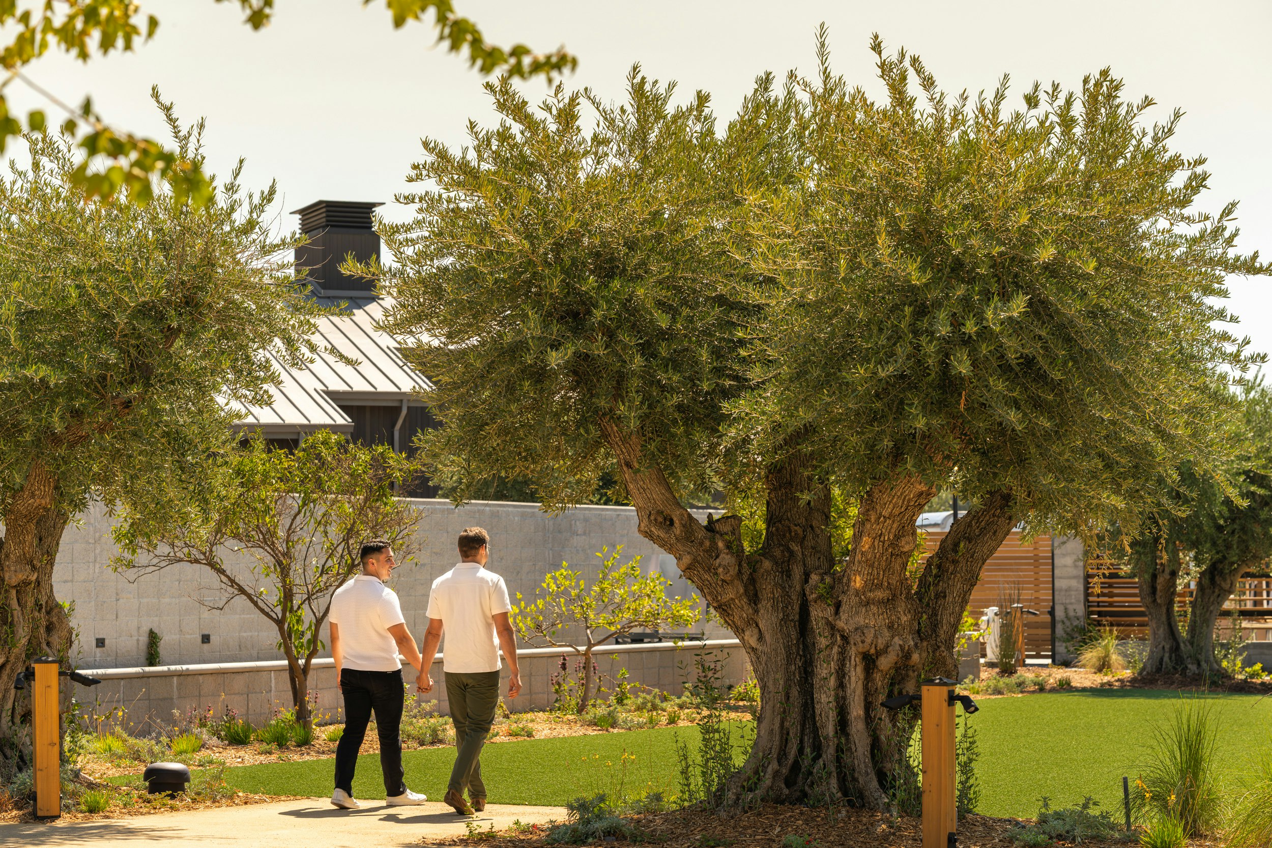 Appellation Olive Grove Lifestyle