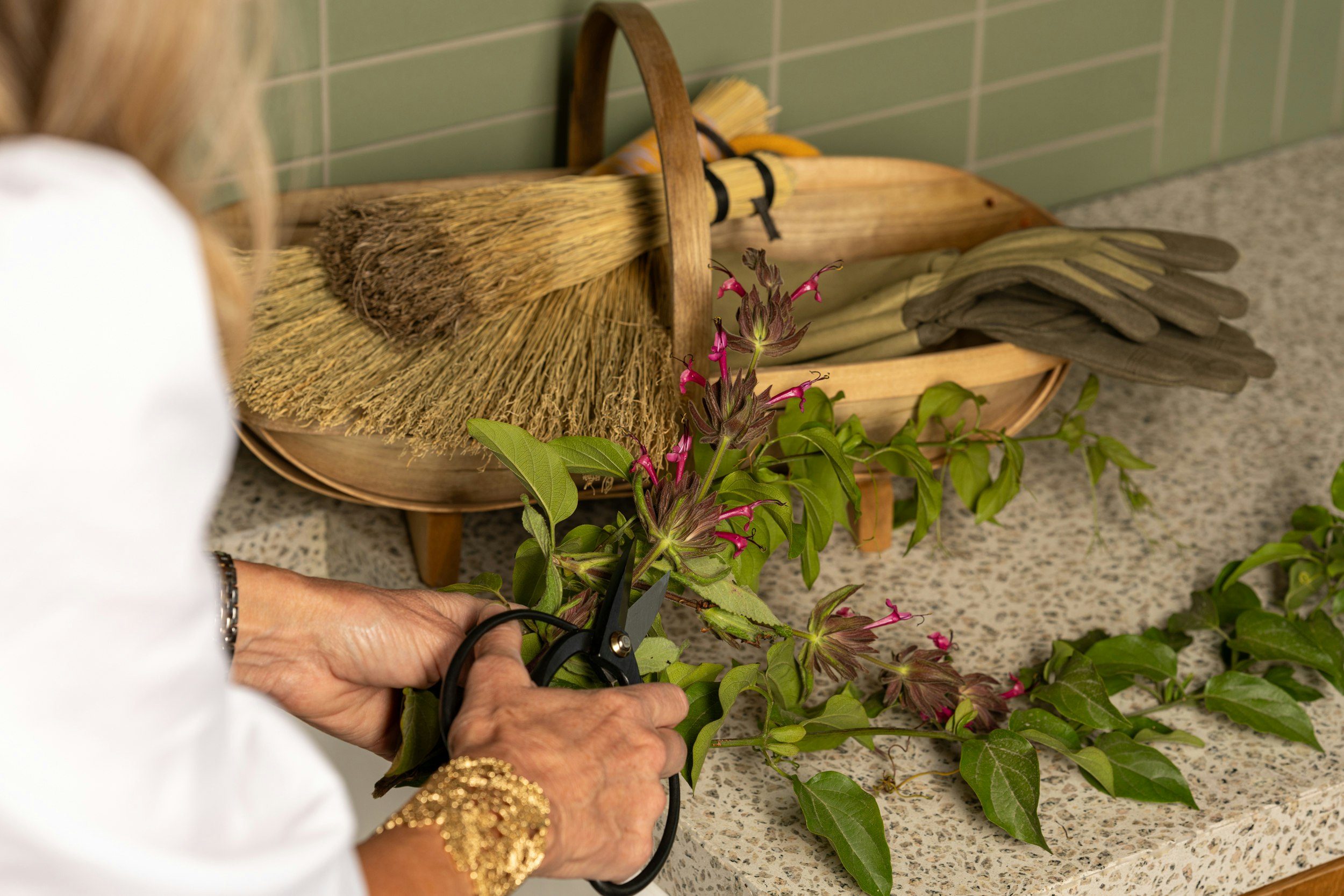 Crafted at Appellation