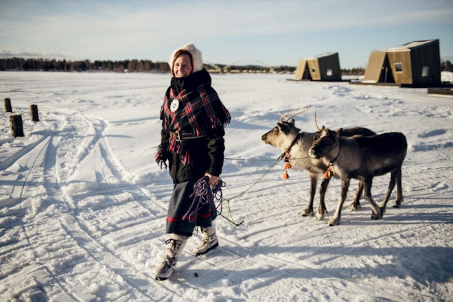Arctic Friends