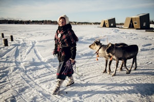 Arctic Friends