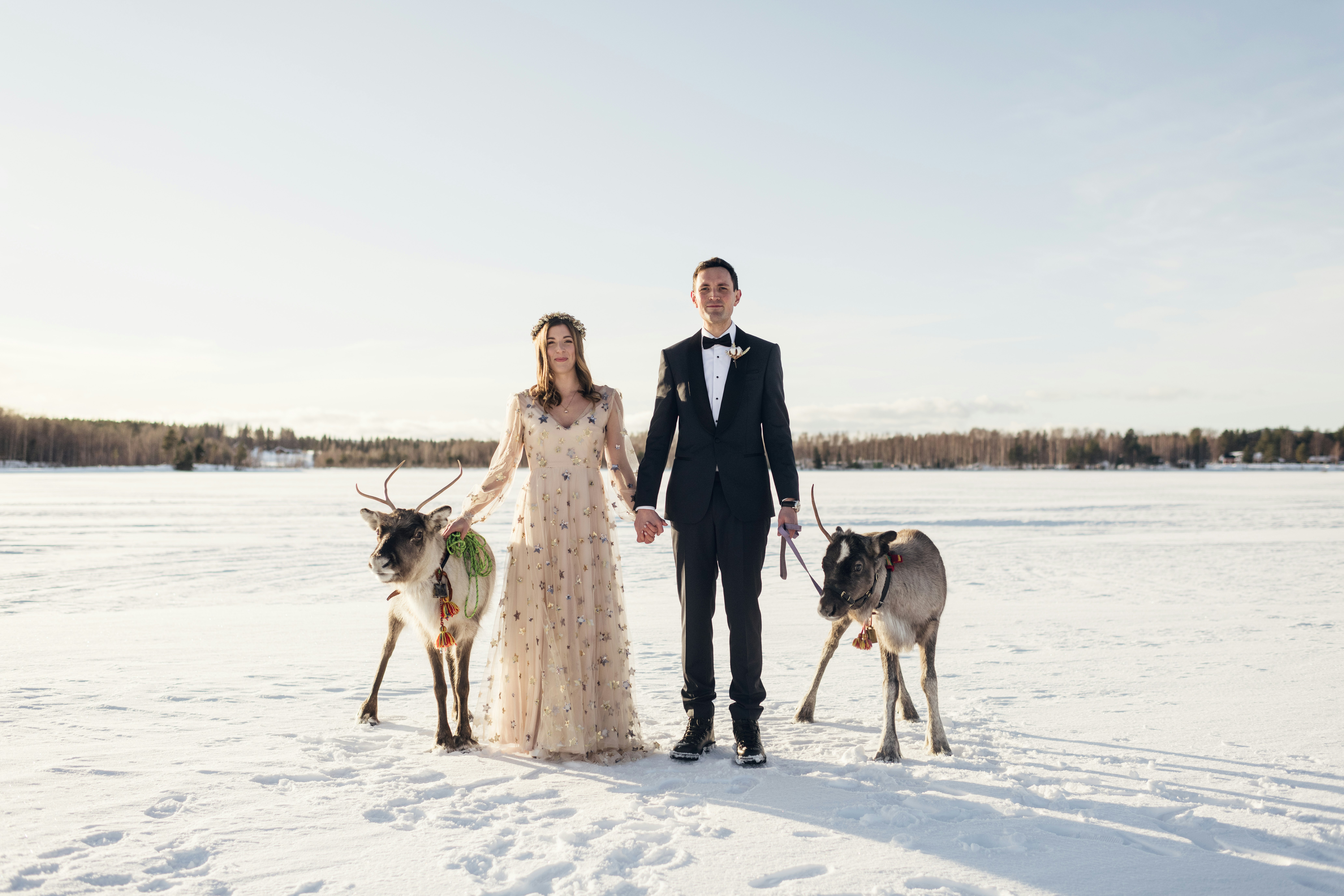 Arctic Wedding