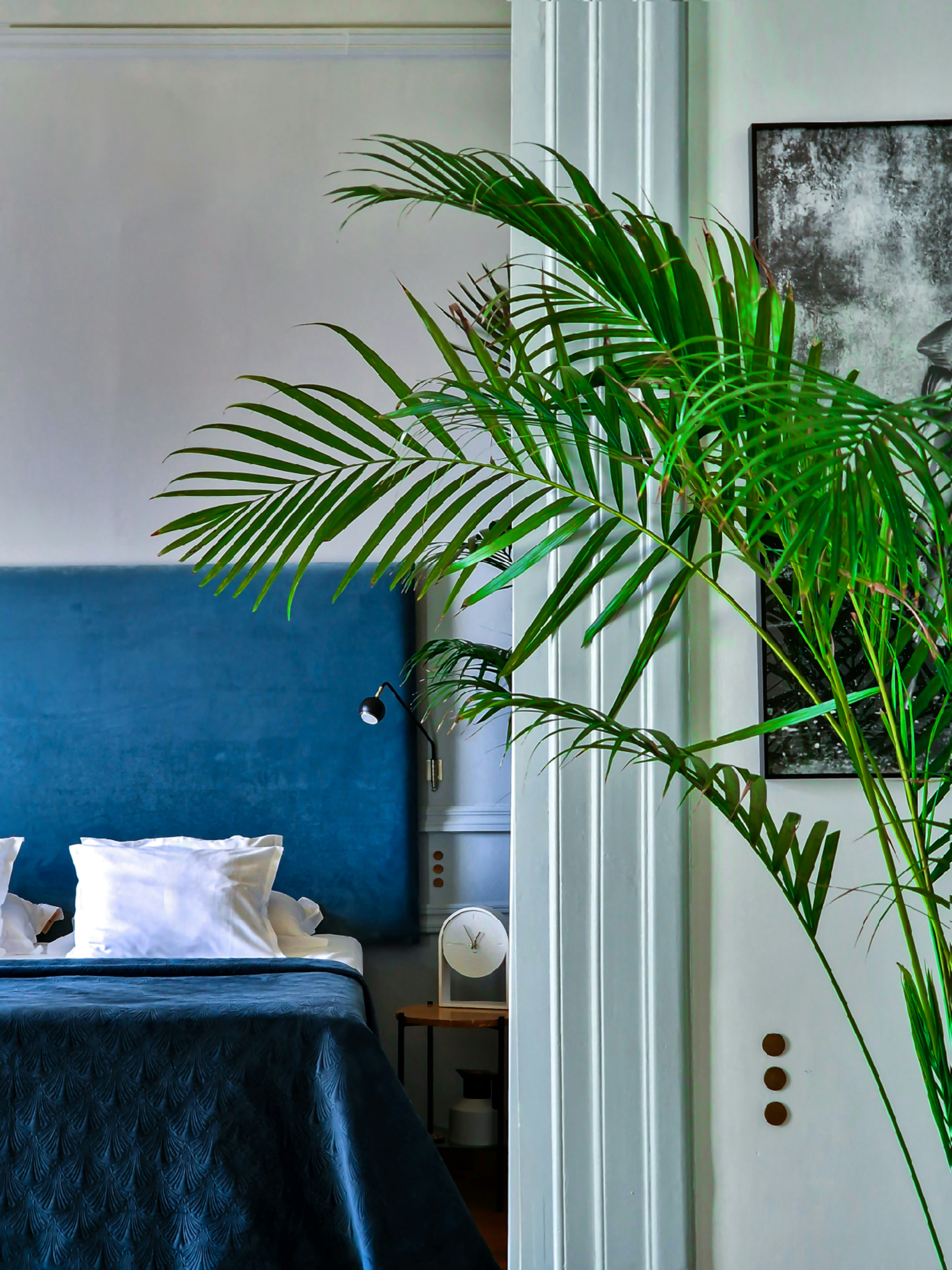 Kapandriti Suite - Bedroom