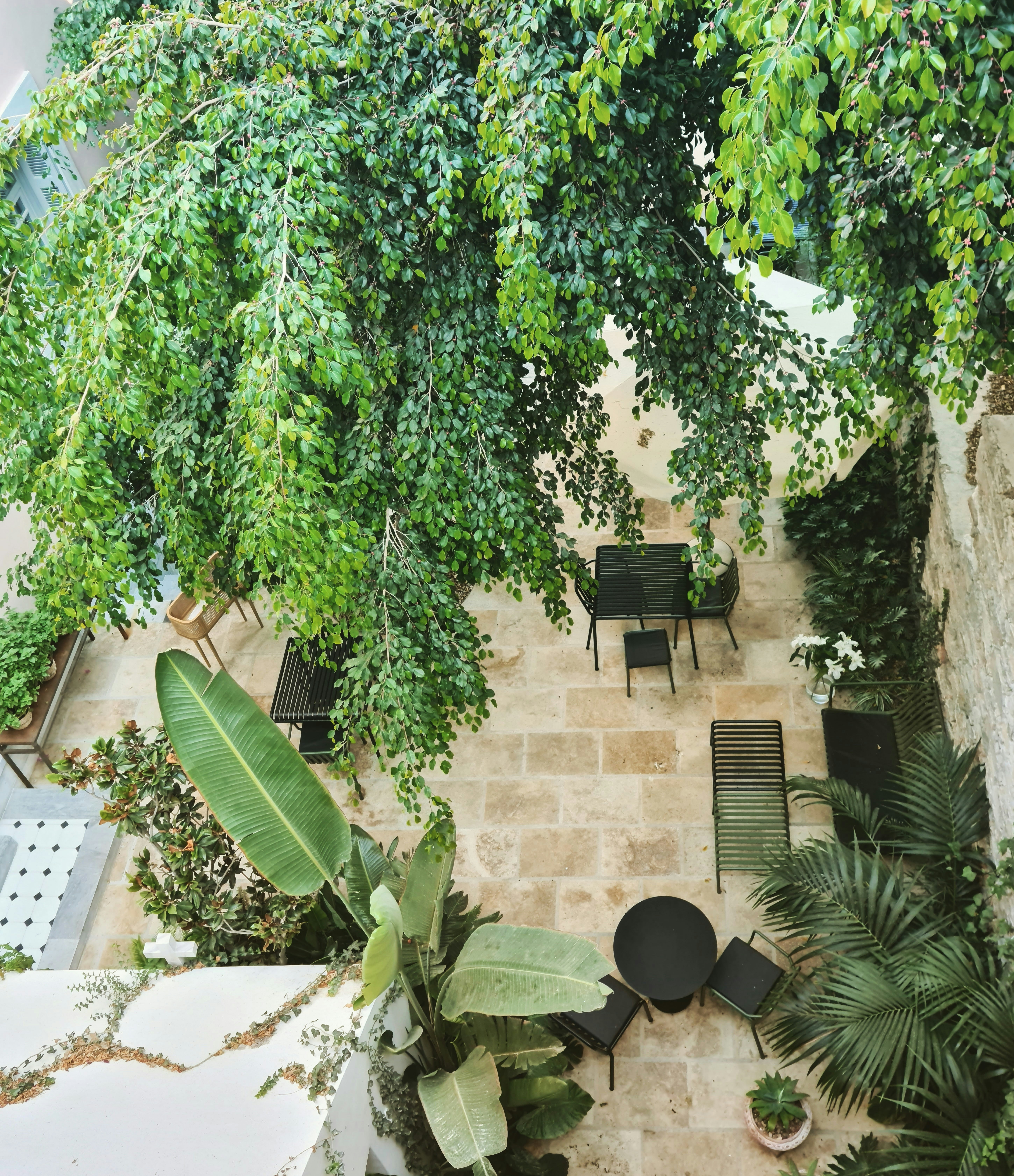 The Breakfast Garden